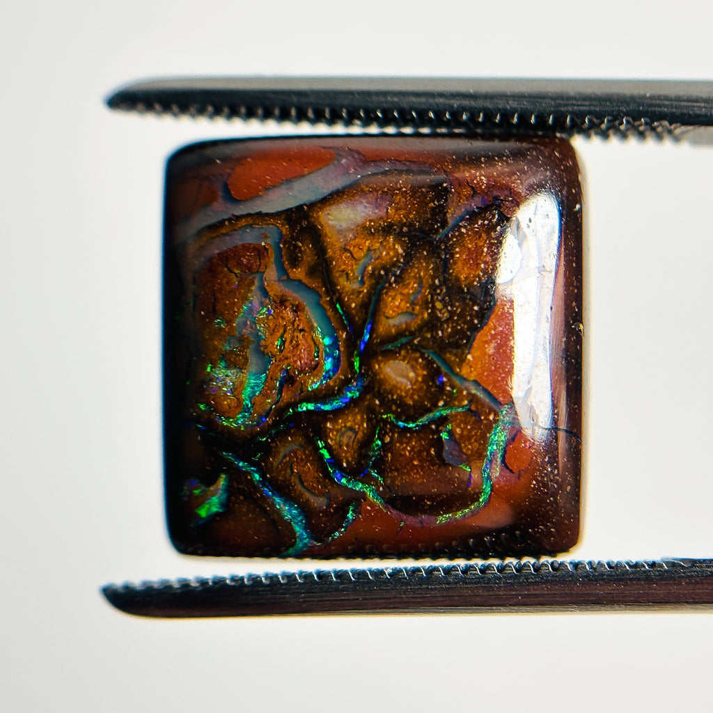 Boulder Opal Green Blue 14x14x5 Cabochon Square 11.10 Carat
