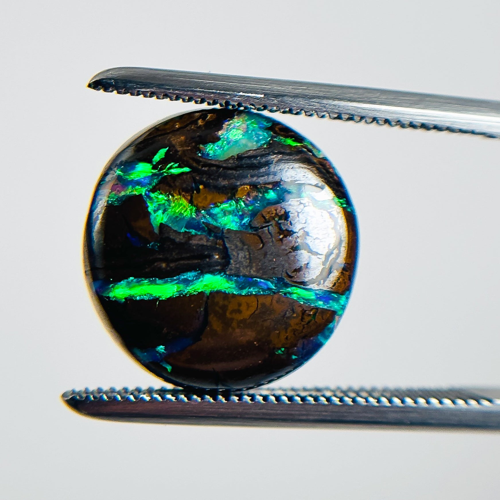 Boulder Opal Green Blue 12x12x4.5 Cabochon Round 6.50 Carat