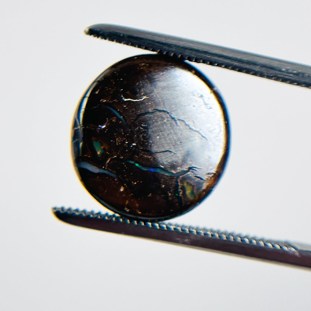 Boulder Opal Green Blue 12x12x4.5 Cabochon Round 6.50 Carat