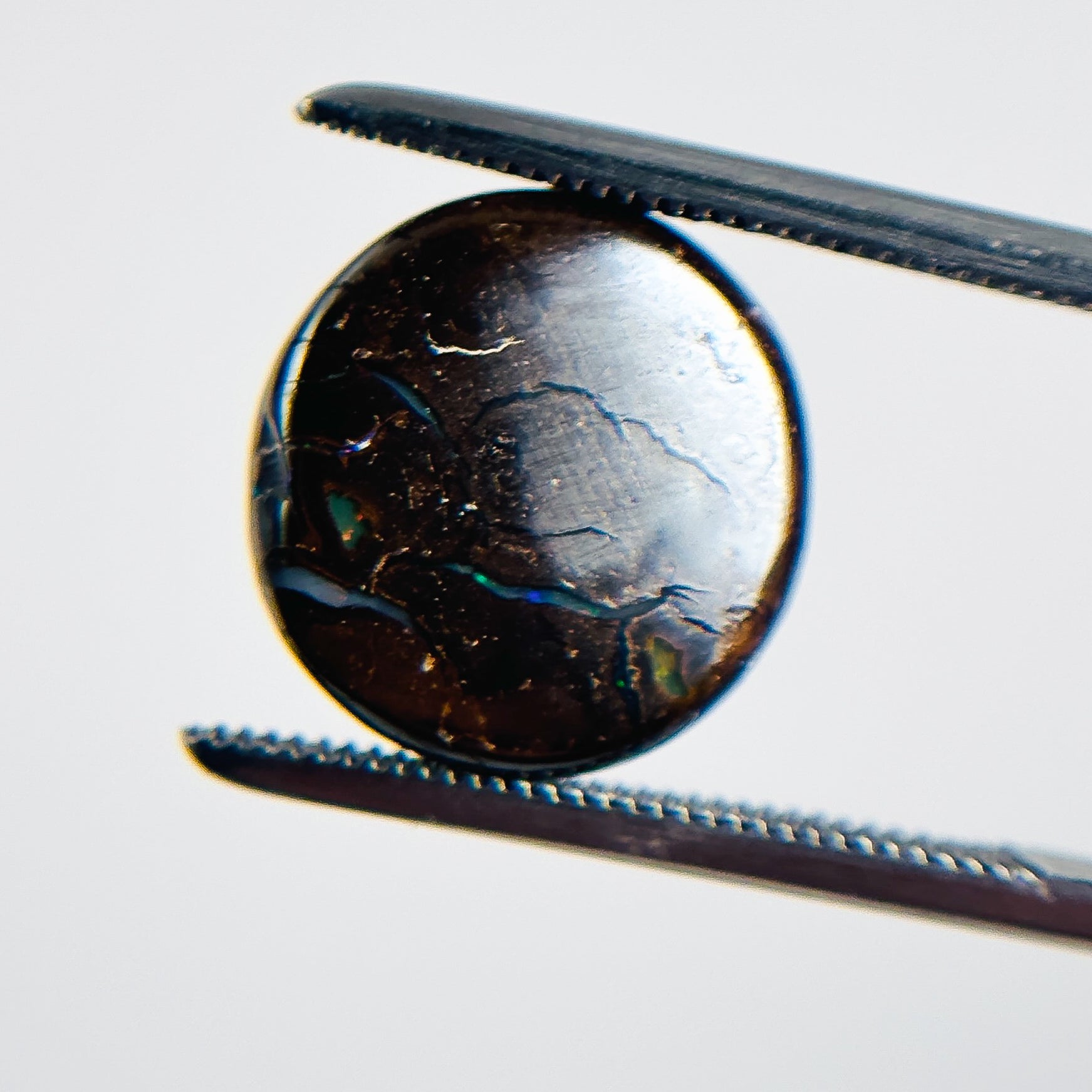 Boulder Opal Green Blue 12x12x4.5 Cabochon Round 6.50 Carat