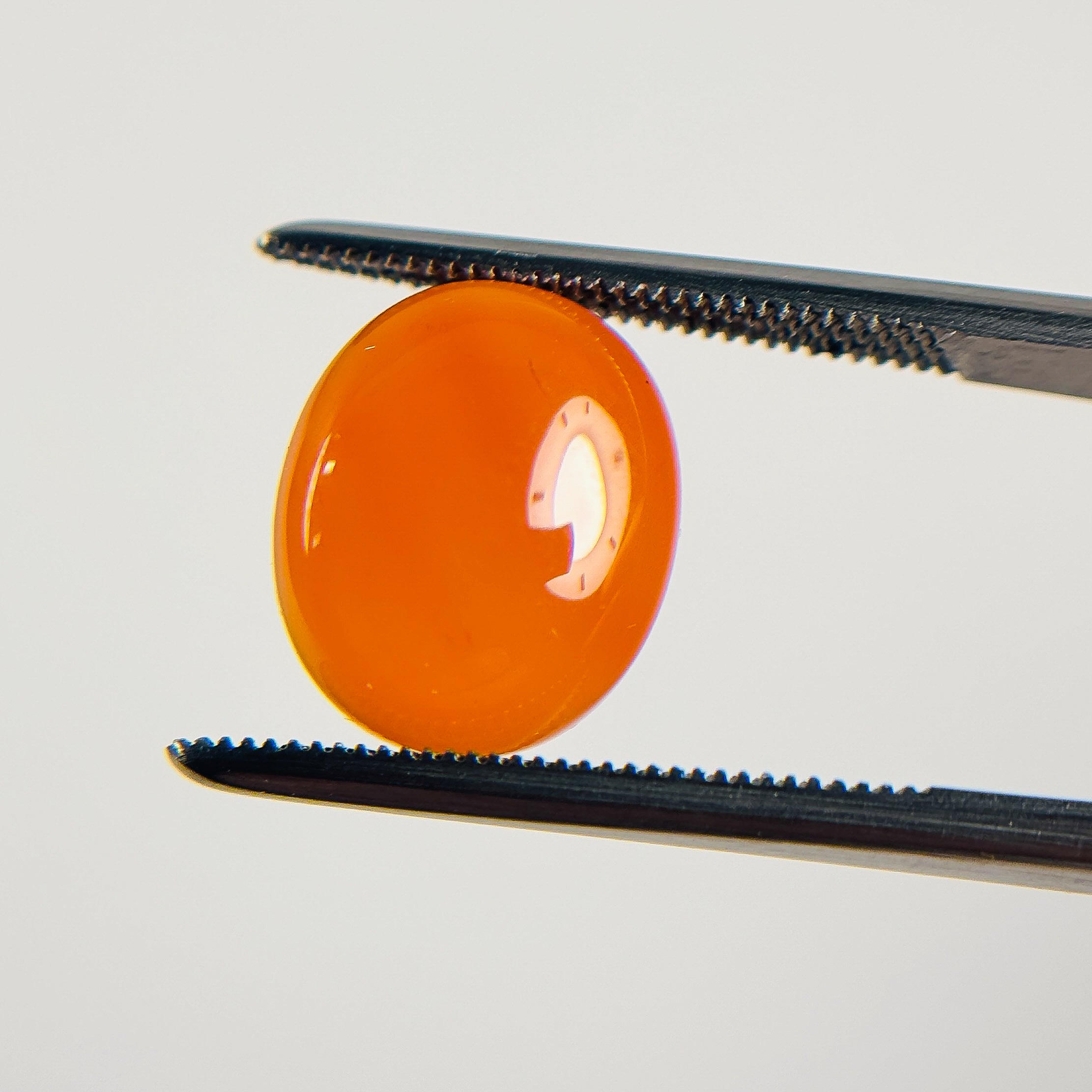 Red Orange Carnelian 12X10X4.5 Cabochon Oval 4.3 Carat