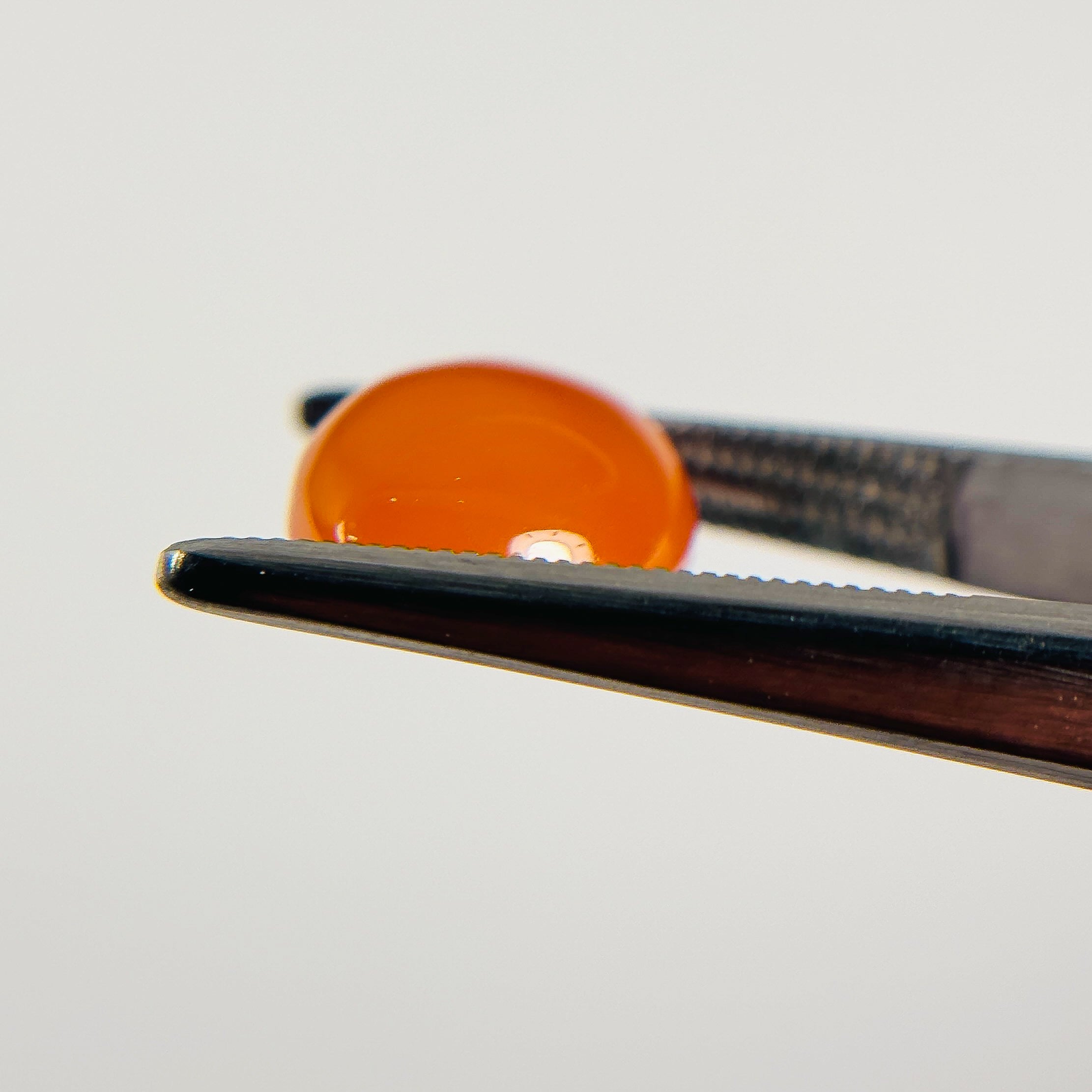 Red Orange Carnelian 12X10X4.5 Cabochon Oval 4.3 Carat