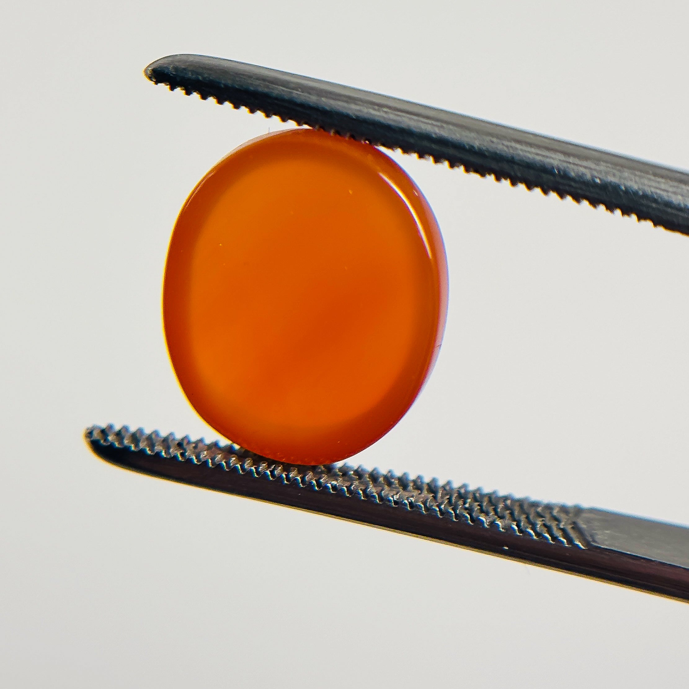 Red Orange Carnelian 12X10X4.5 Cabochon Oval 4.3 Carat