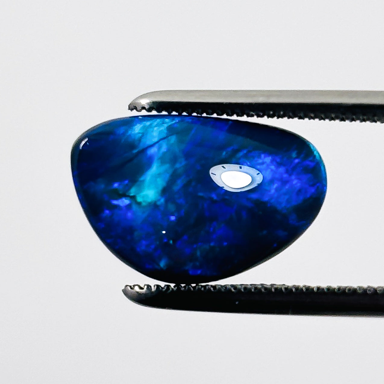 Black Opal Blue Green 14X9X4 Cabochon Freeform 3.05 Carat