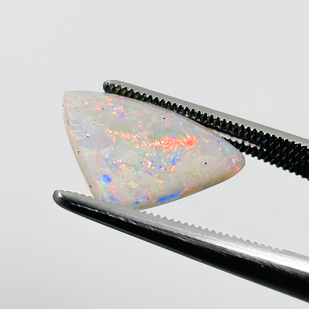 White Opal Red Multicolour 14x13x5 Cabochon Trillion 4.50 Carat