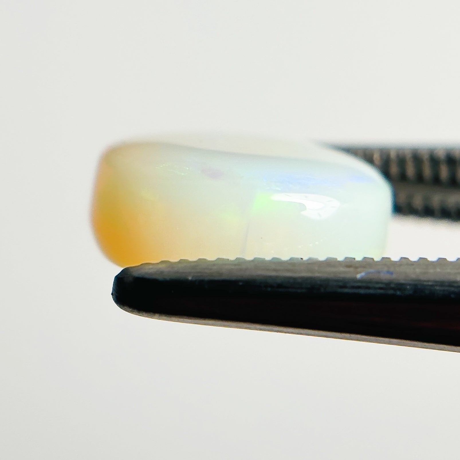 White Opal Green Orange 10x9x4 Cabochon Oval 2.60 Carat