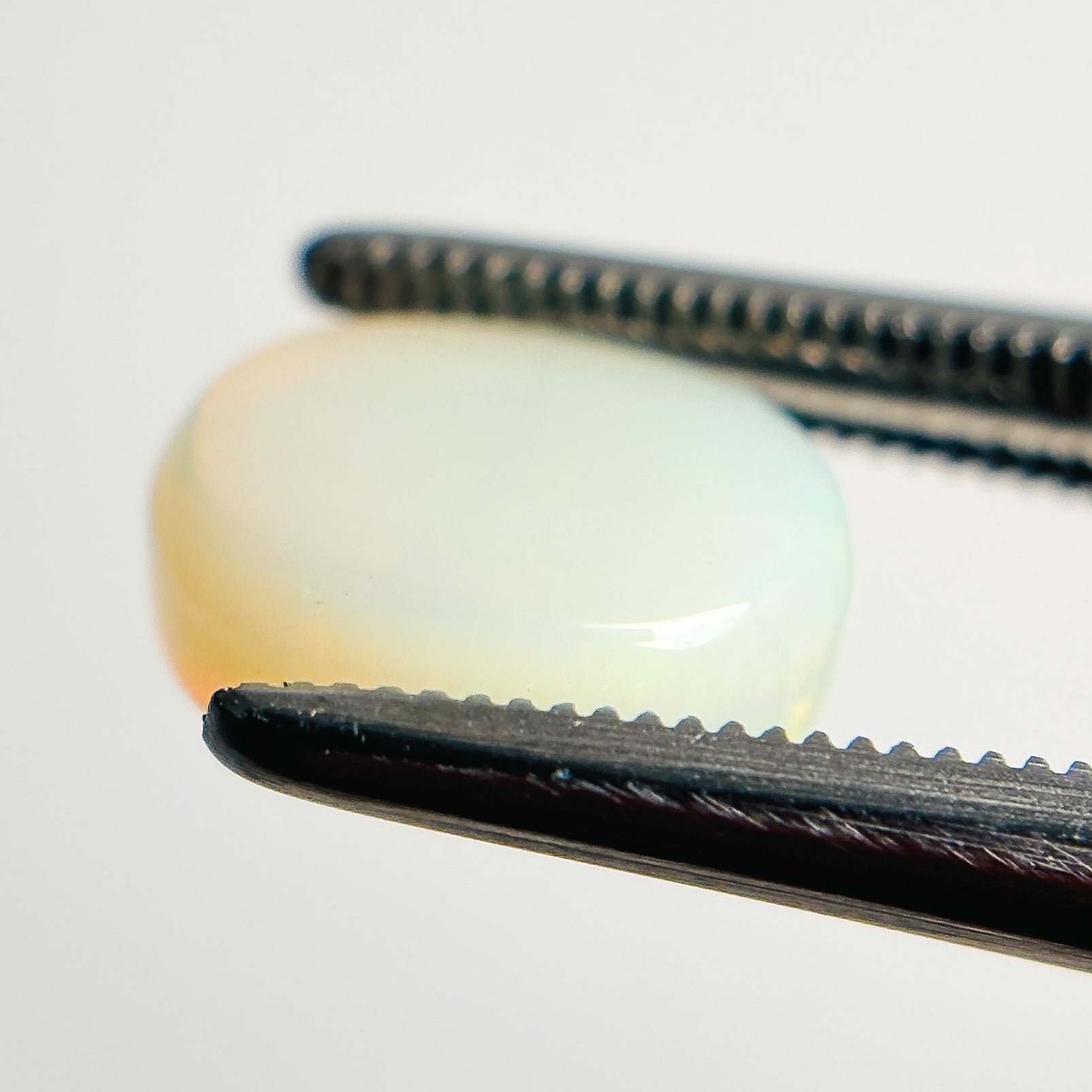 White Opal Green Orange 10x9x4 Cabochon Oval 2.60 Carat