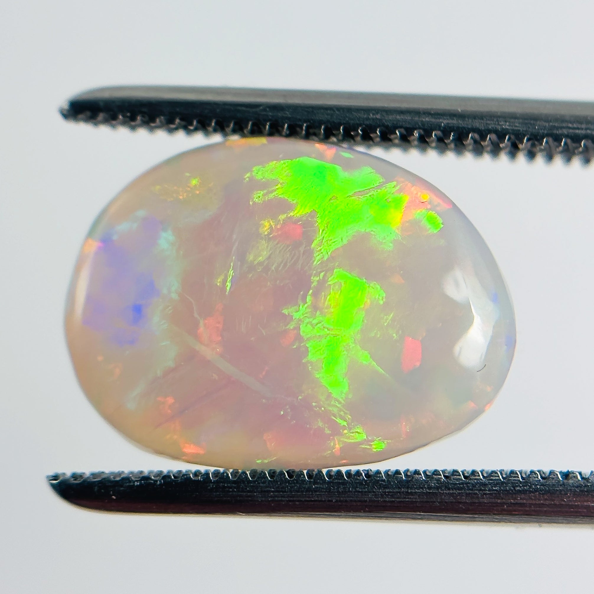 Semi Black Opal Green Multicolour 13x10x3.5 Cabochon Freeform 2.95 Carat