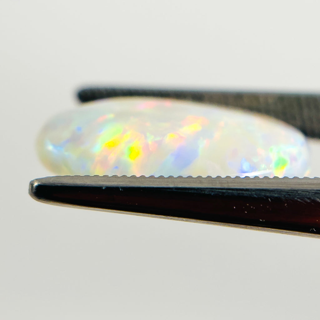 White Opal Red Multicolour 17x13x5 Cabochon Freeform 6.35 Carat