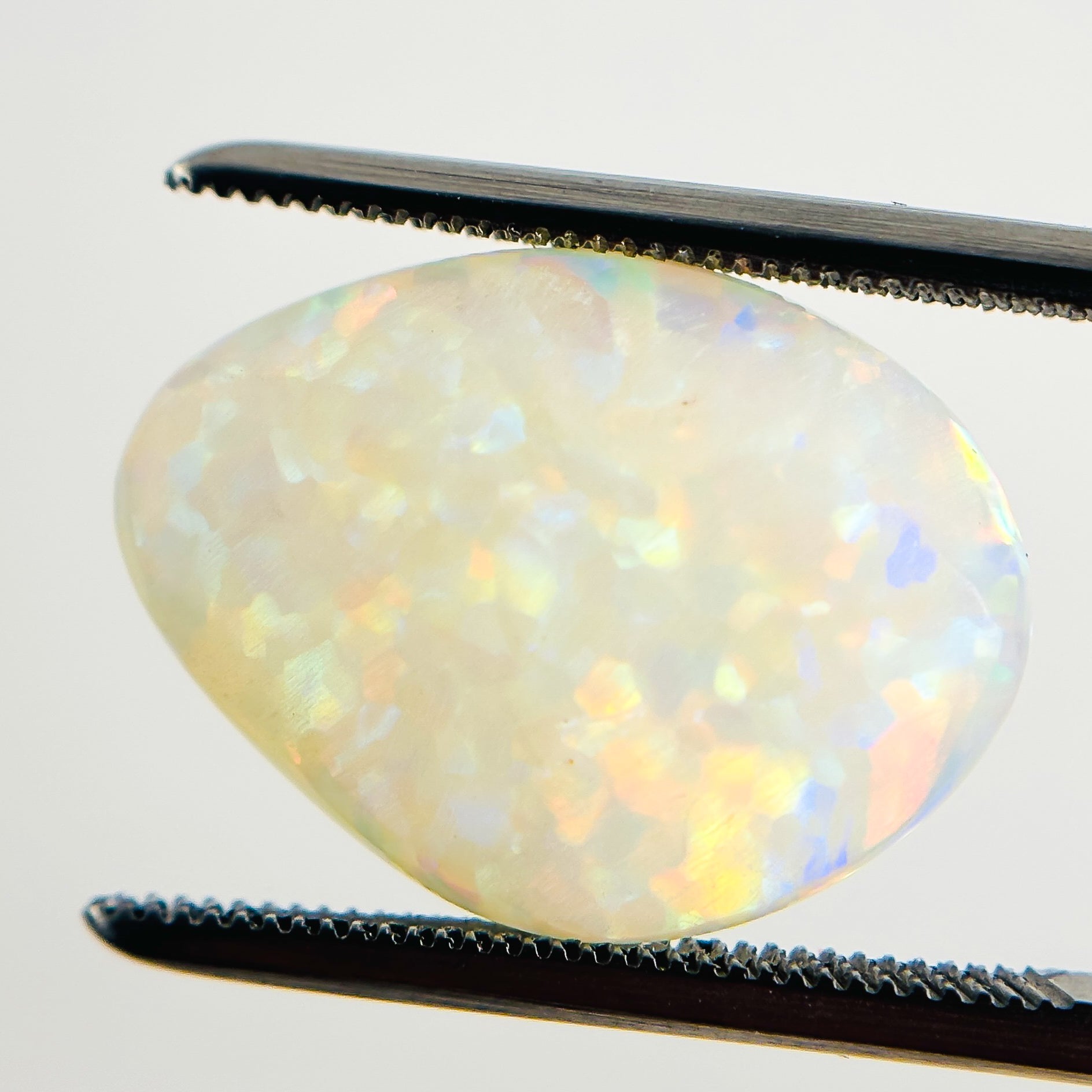 White Opal Red Multicolour 17x13x5 Cabochon Freeform 6.35 Carat