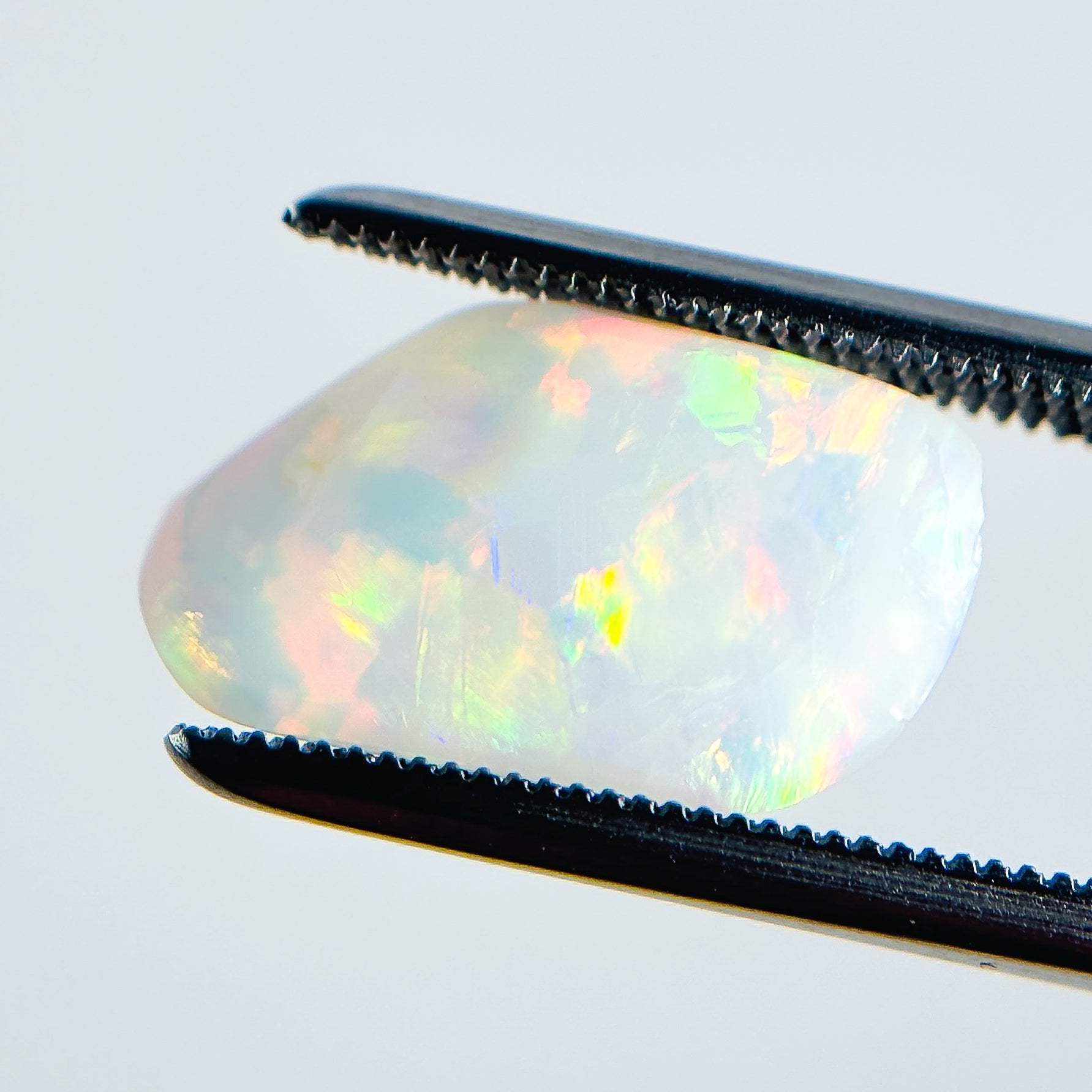 White Opal Multicolour Harlequin 15x9x4 Cabochon Freeform 3 Carat