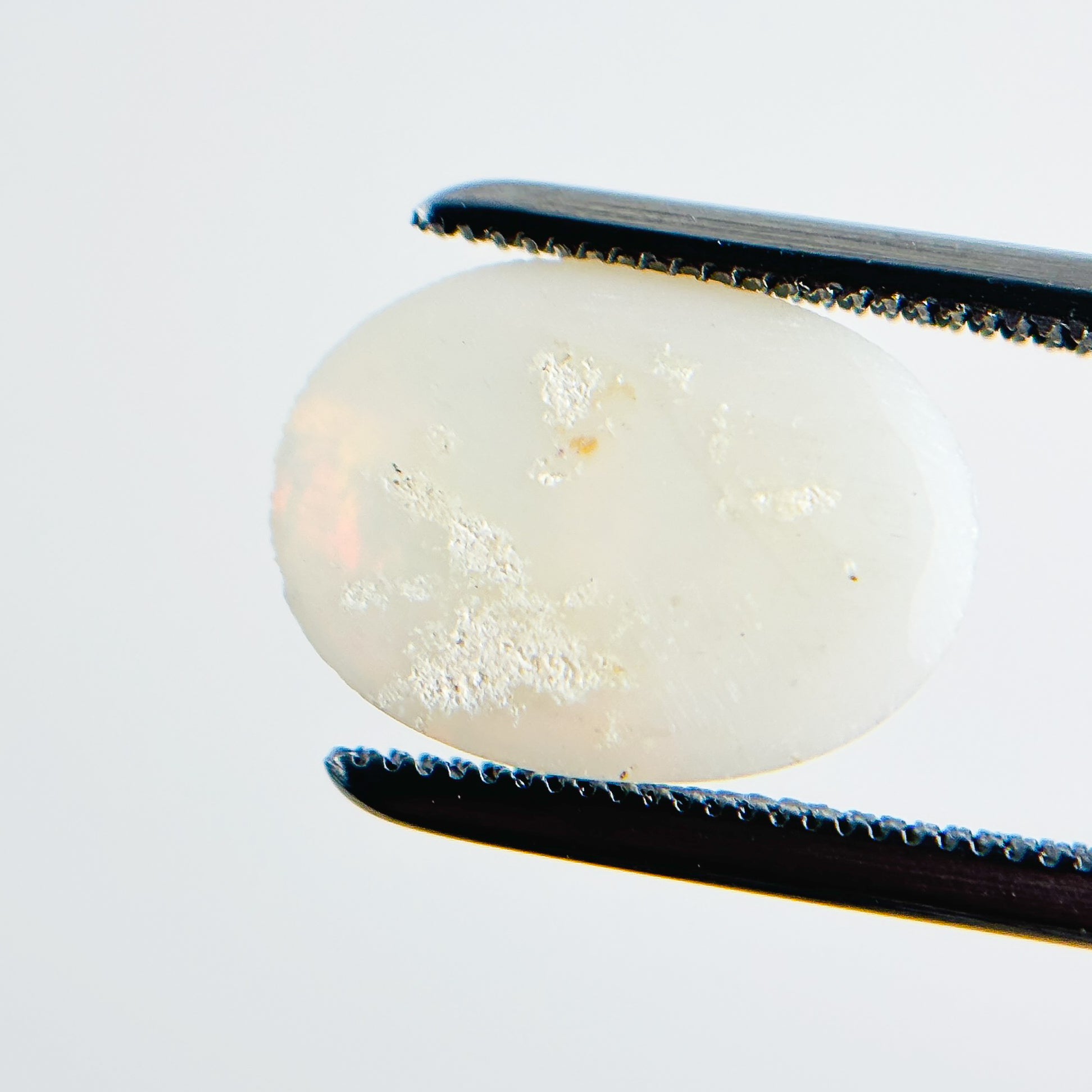White Opal Red Multicolour 12x9x2.5 Cabochon Oval 1.70 Carat