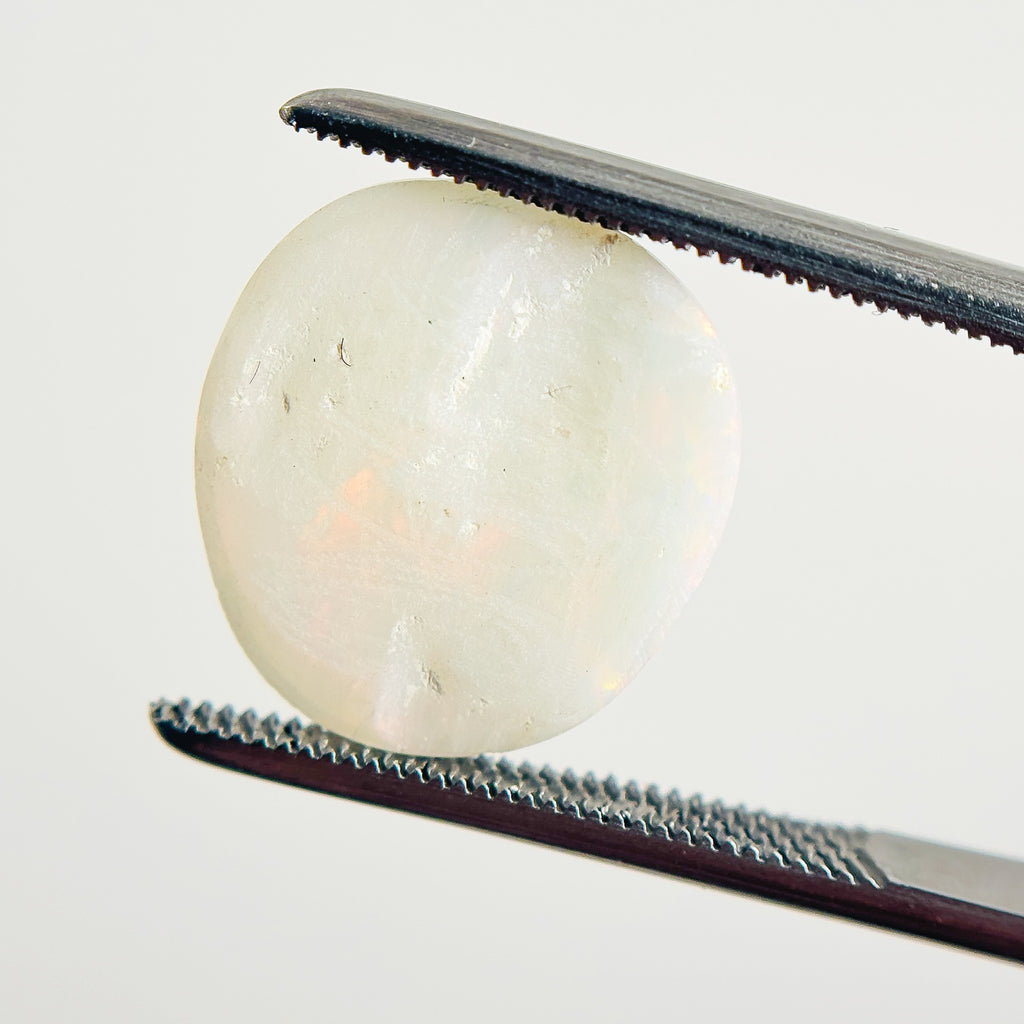 White Opal Red Multicolour 14x13x3 Cabochon Freeform 3.70 Carat