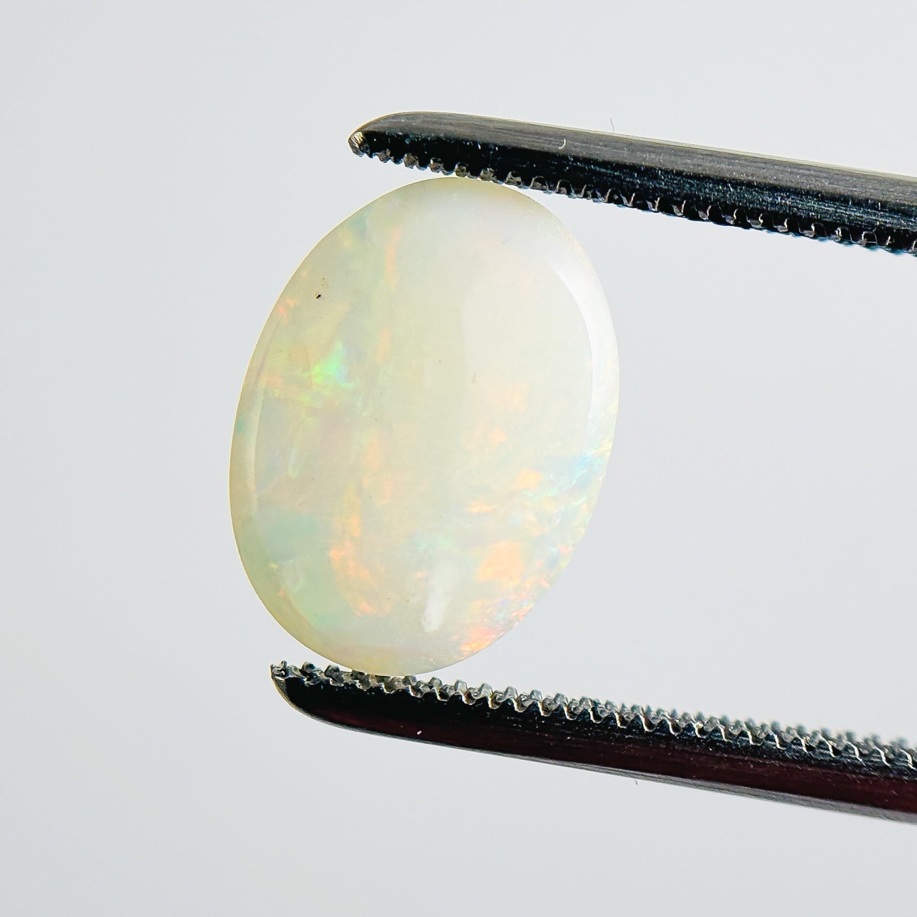 White Opal Multicolour 11x8x3 Cabochon Oval 1.40 Carat