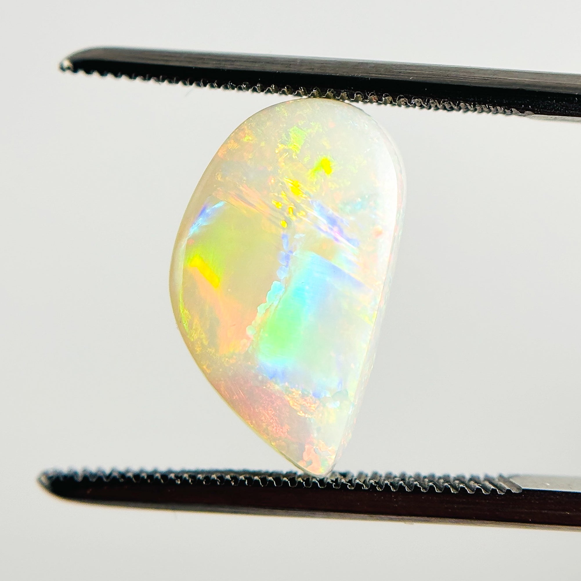 White Opal Multicolour Harlequin 19x8.5x4 Cabochon Freeform 2.80 Carat