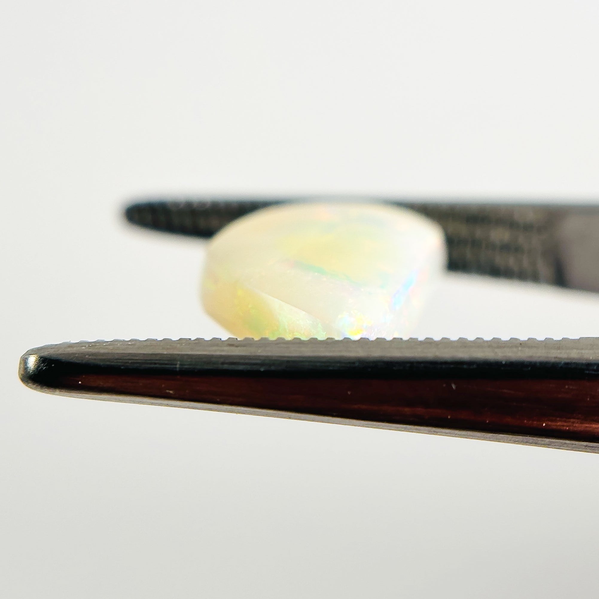 White Opal Multicolour Harlequin 19x8.5x4 Cabochon Freeform 2.80 Carat