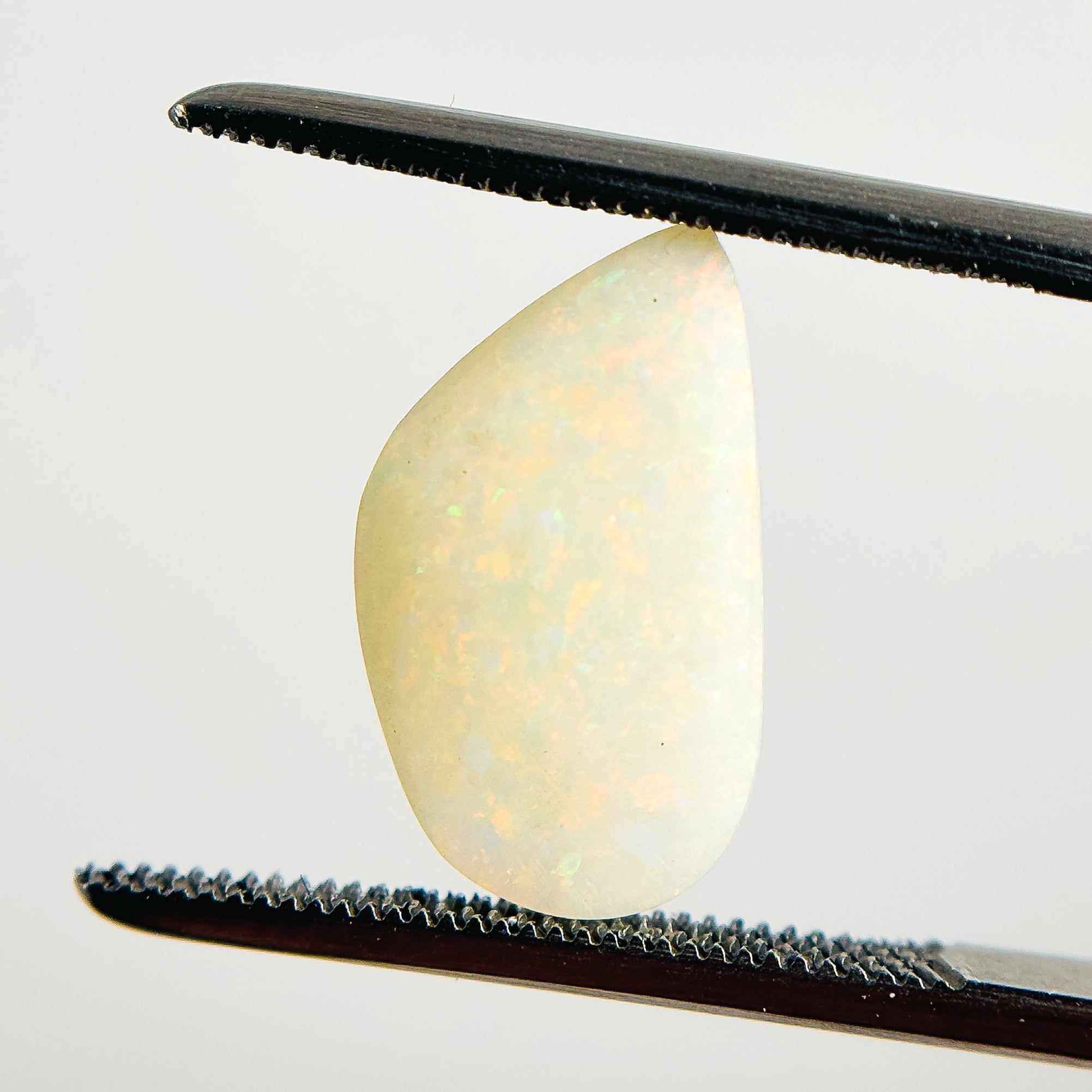 White Opal Multicolour Harlequin 19x8.5x4 Cabochon Freeform 2.80 Carat