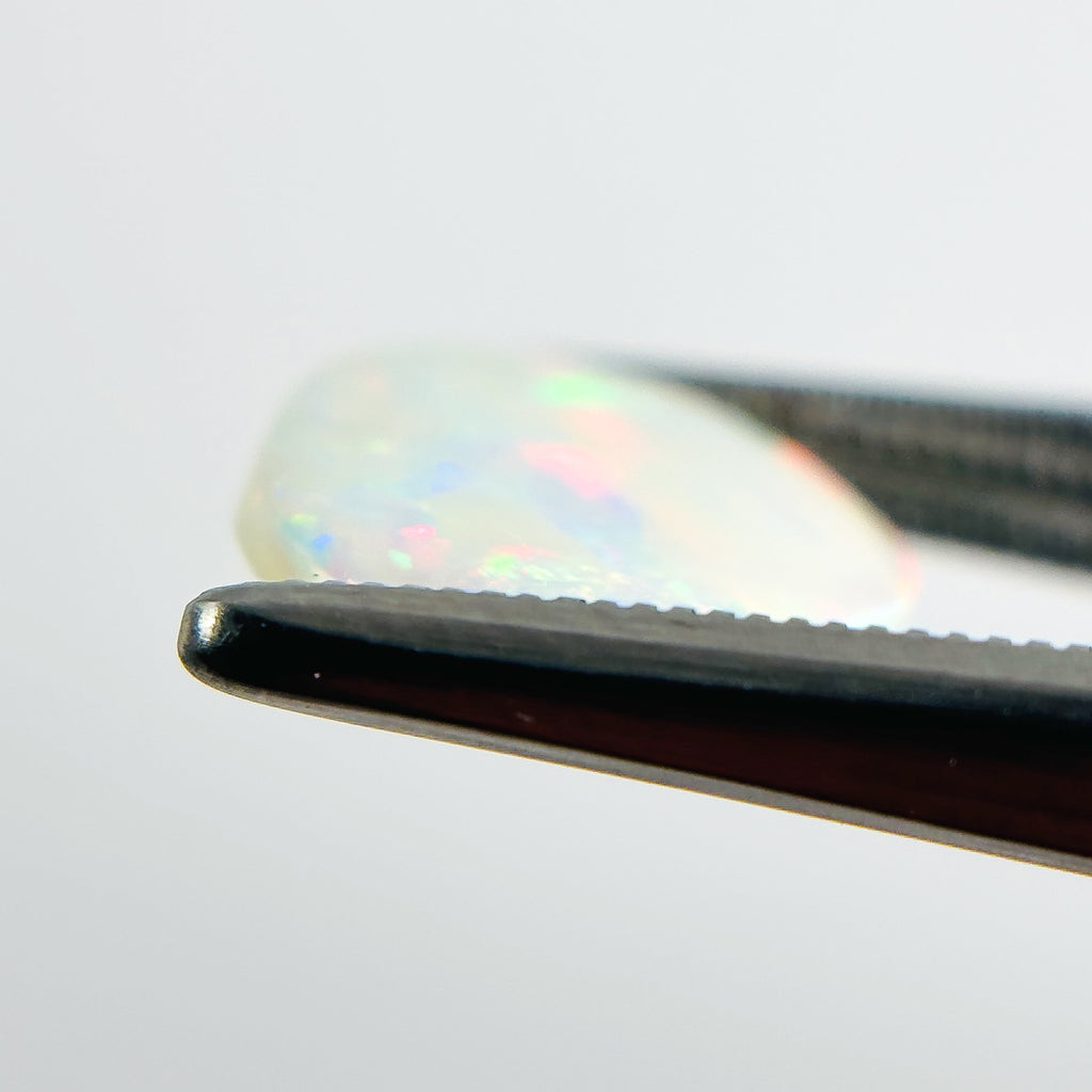 White Opal Red Multicolour 12x11x2.7 Cabochon Freeform 2.20 Carat