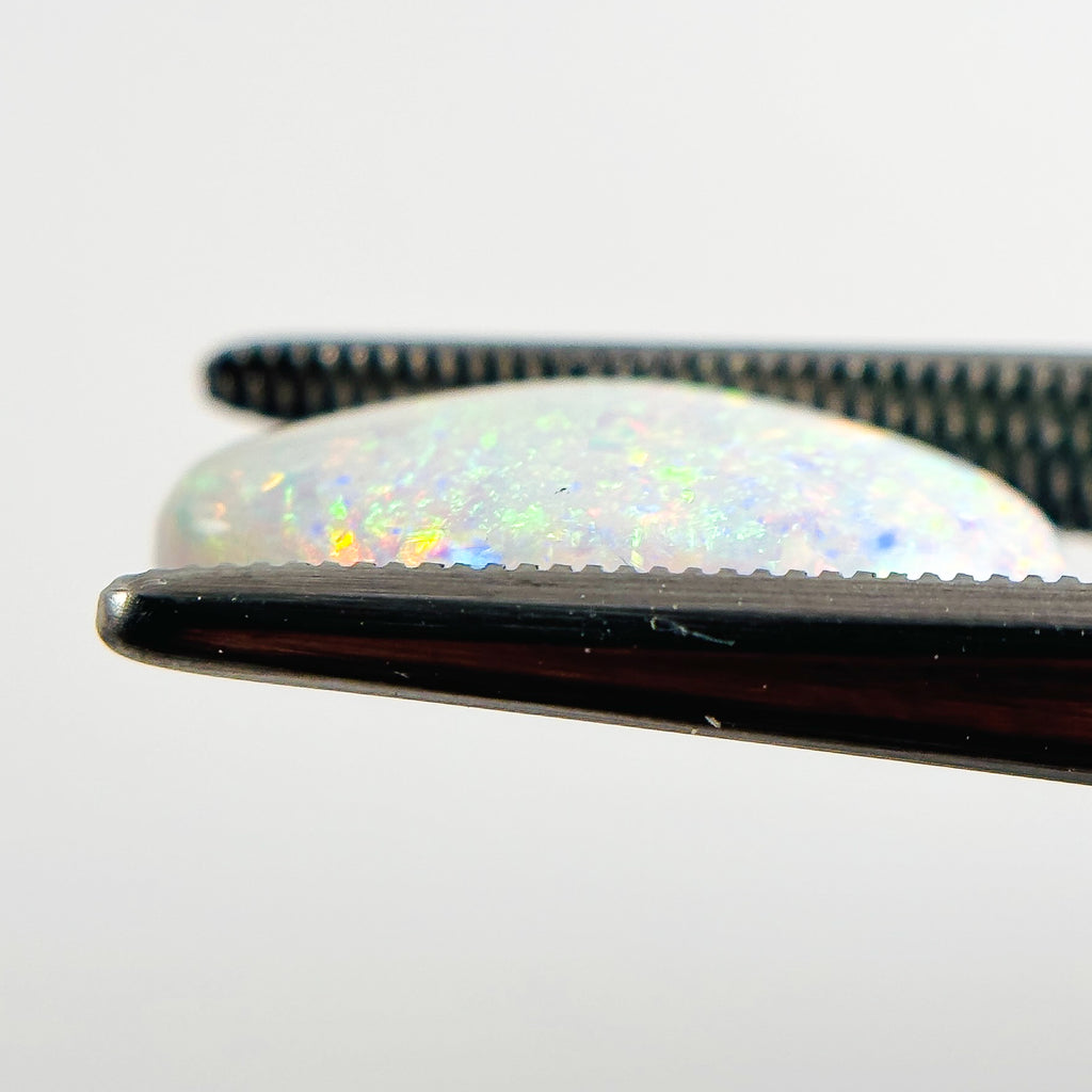 White Opal Multicolour 16x8x3.5 Cabochon Freeform 2.60 Carat
