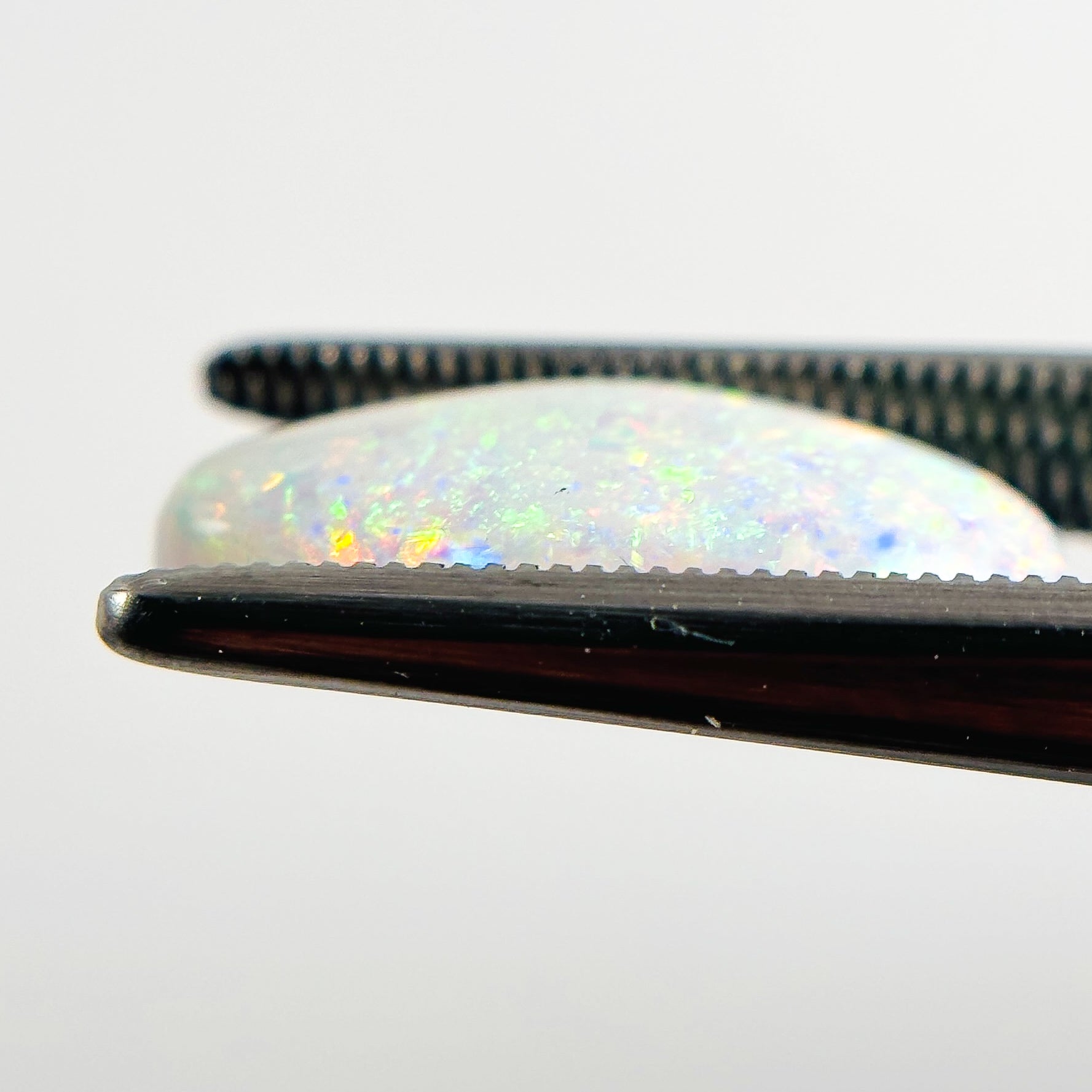 White Opal Multicolour 16x8x3.5 Cabochon Freeform 2.60 Carat