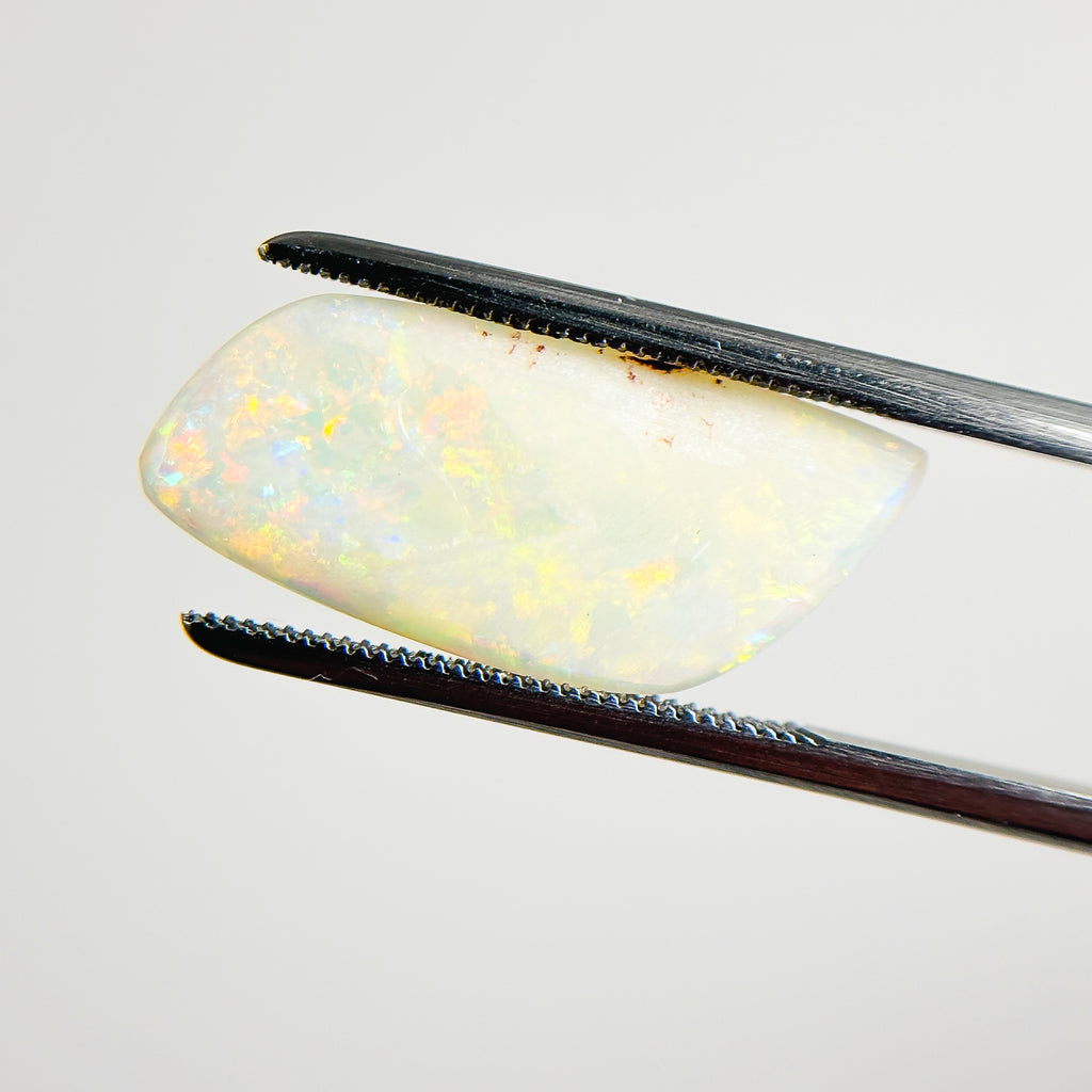 White Opal Red Multicolour 22x10x2.5 Cabochon Freeform 3.30 Carat