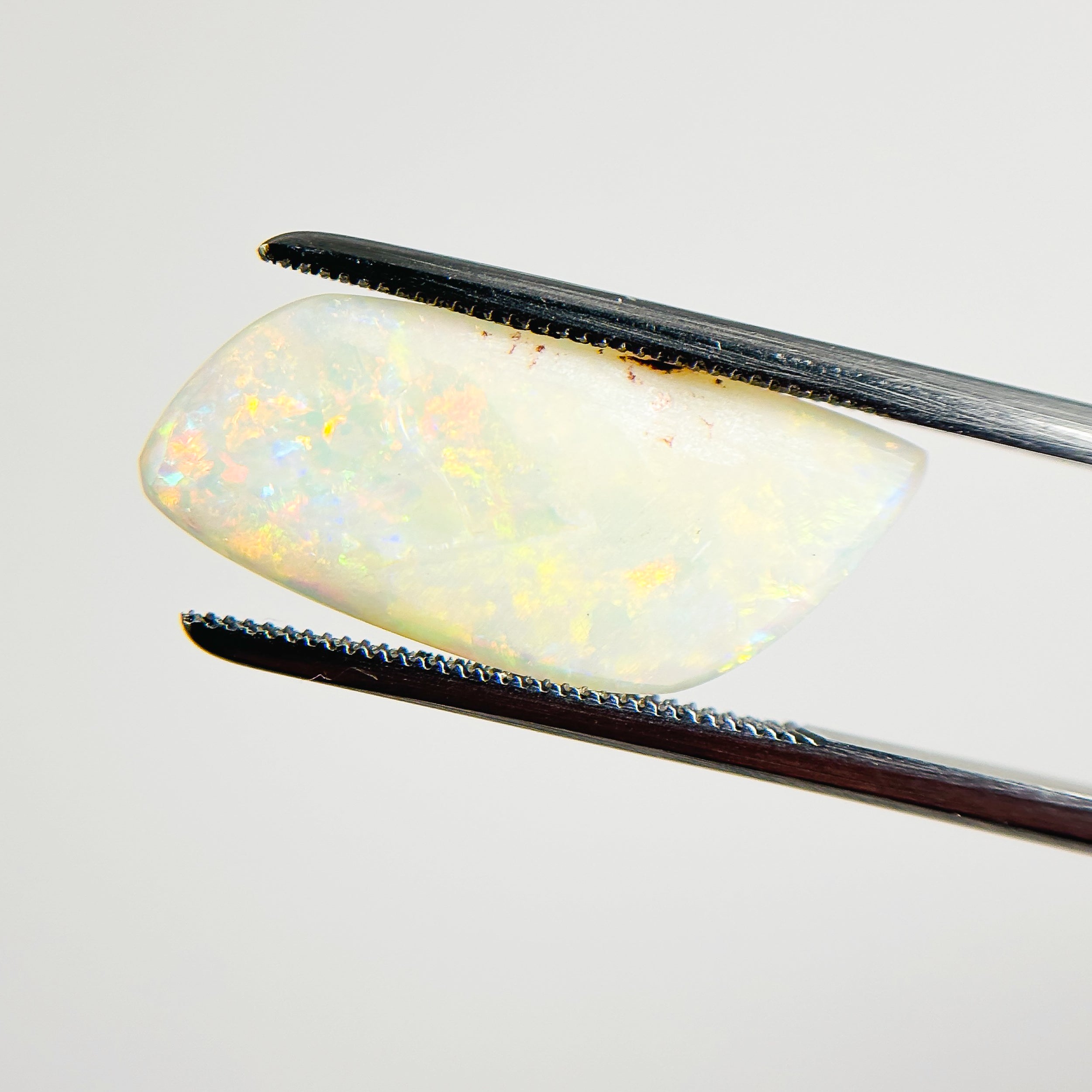 White Opal Red Multicolour 22x10x2.5 Cabochon Freeform 3.30 Carat