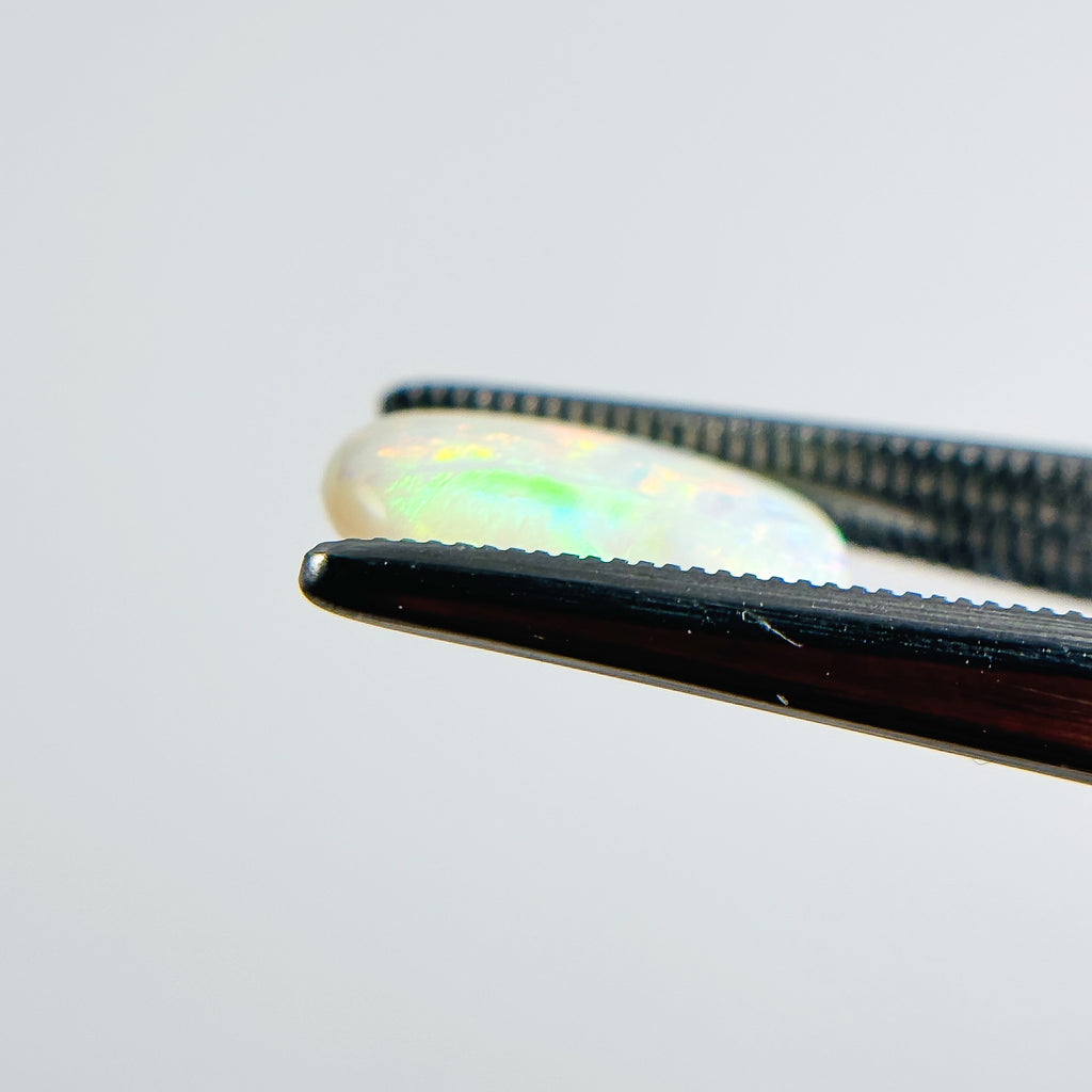 White Opal Multicolour 12x8x3 Cabochon Freeform 2.00 Carat