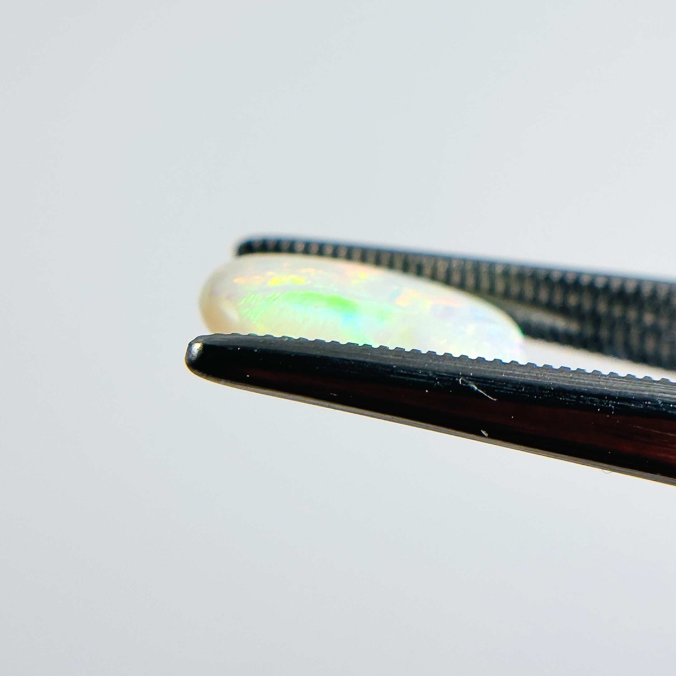 White Opal Multicolour 12x8x3 Cabochon Freeform 2.00 Carat