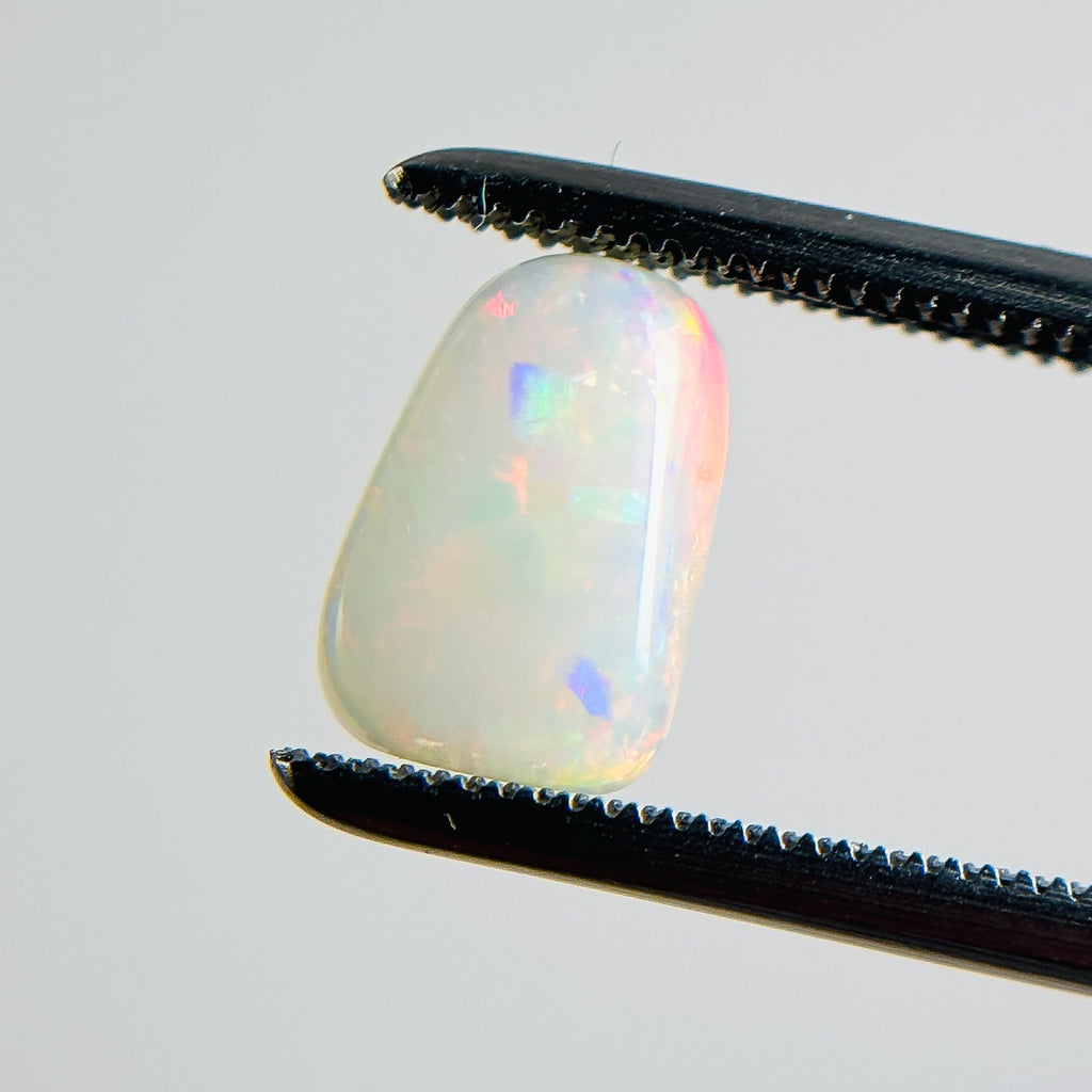 White Opal Red Multicolour 8.7x6x3.4 Cabochon Freeform 1.25 Carat
