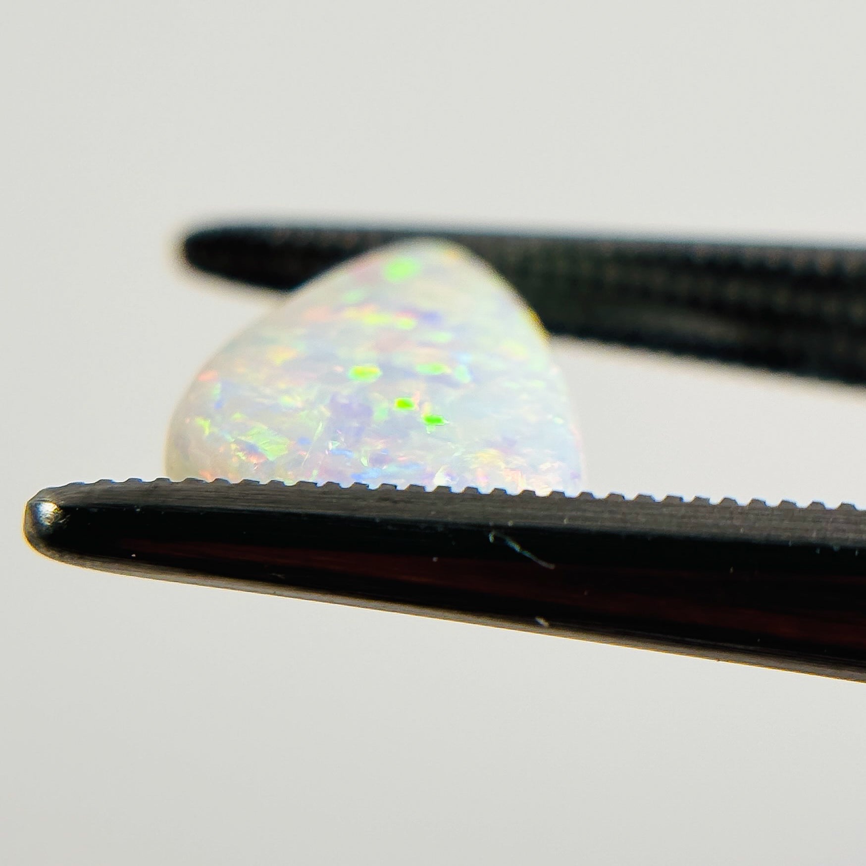 White Opal Multicolour 12x9x2.5 Cabochon Freeform 1.50 Carat