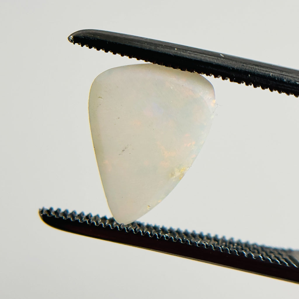 White Opal Multicolour 12x9x2.5 Cabochon Freeform 1.50 Carat