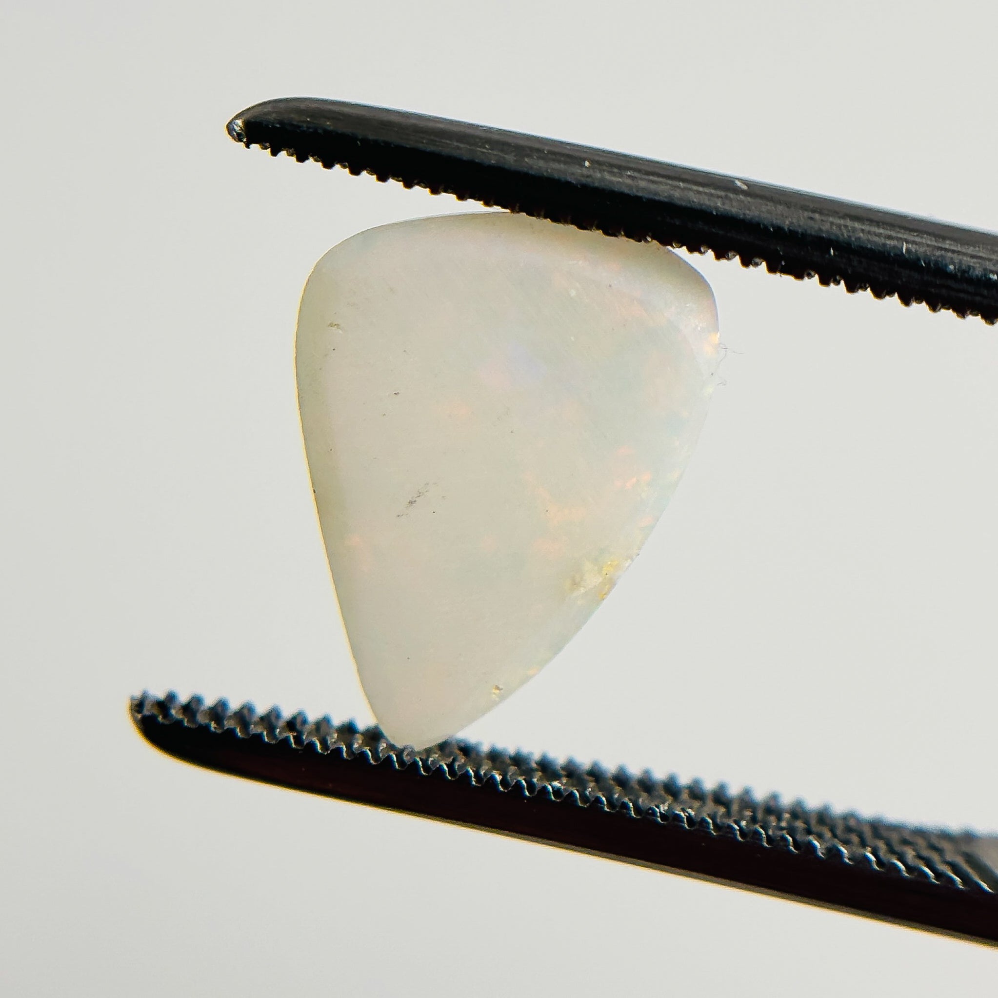 White Opal Multicolour 12x9x2.5 Cabochon Freeform 1.50 Carat