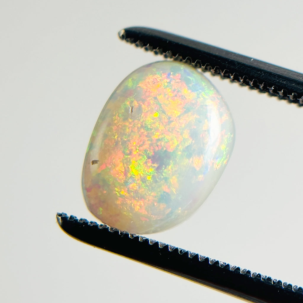 White Opal Red Multicolour 10x7x3 Cabochon Freeform 1.4 Carat