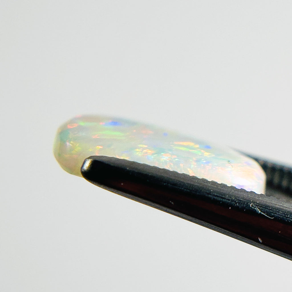 White Opal Red Multicolour 12x7x2.5 Cabochon Freeform 1.65 Carat