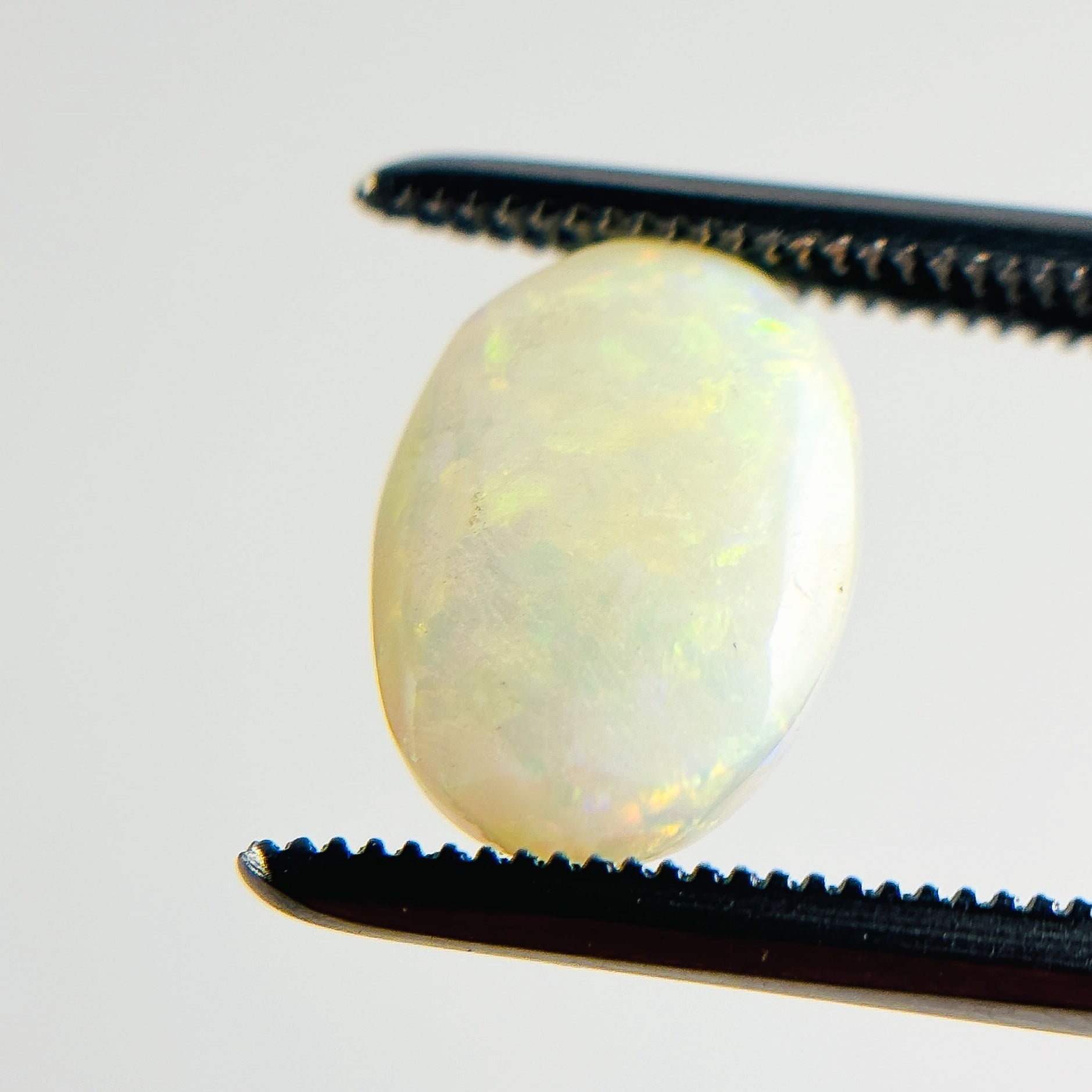 White Opal Multicolour 10x8X3.5 Cabochon Oval 1.85 Carat