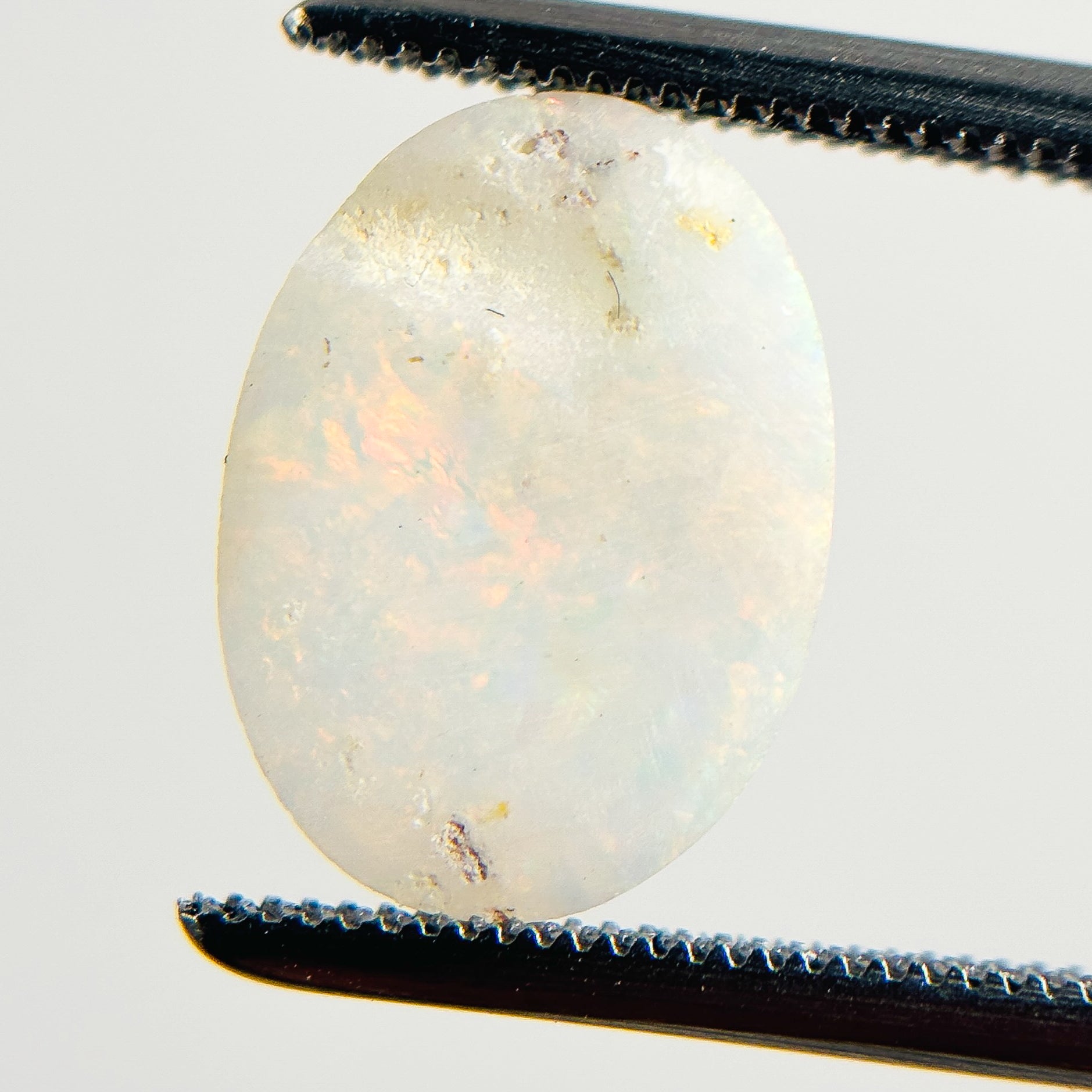 White Opal Multicolour 12x9x3 Cabochon Oval 1.95 Carat