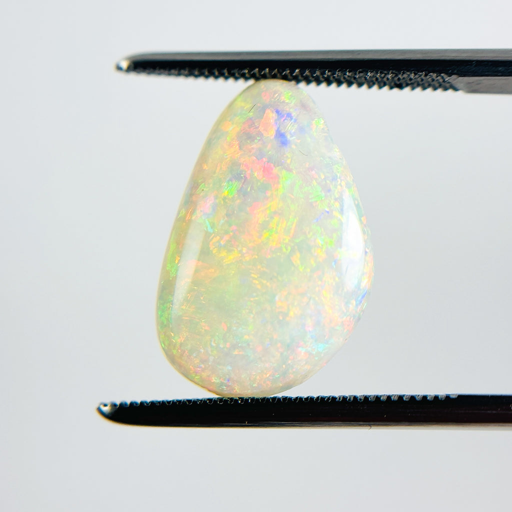 White Opal Red Multicolour 15.5x11x4 Cabochon Fossil Freeform 3.35 Carat