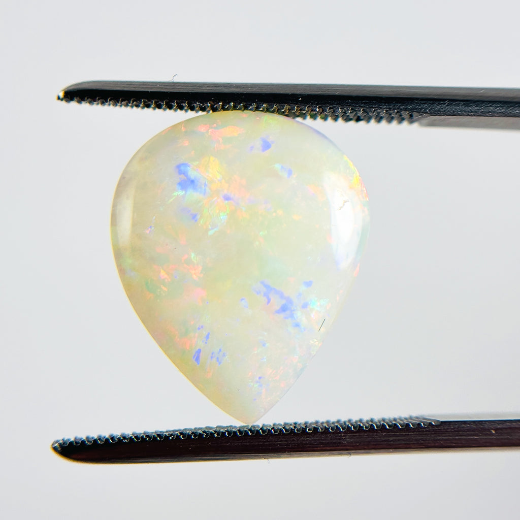 White Opal Red Multicolour 16x13x3 Cabochon Fossil Pear 3.05 Carat