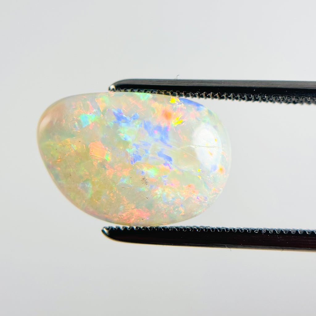 White Opal Red Multicolour 16X11X3 Cabochon Fossil Freeform 2.85 Carat
