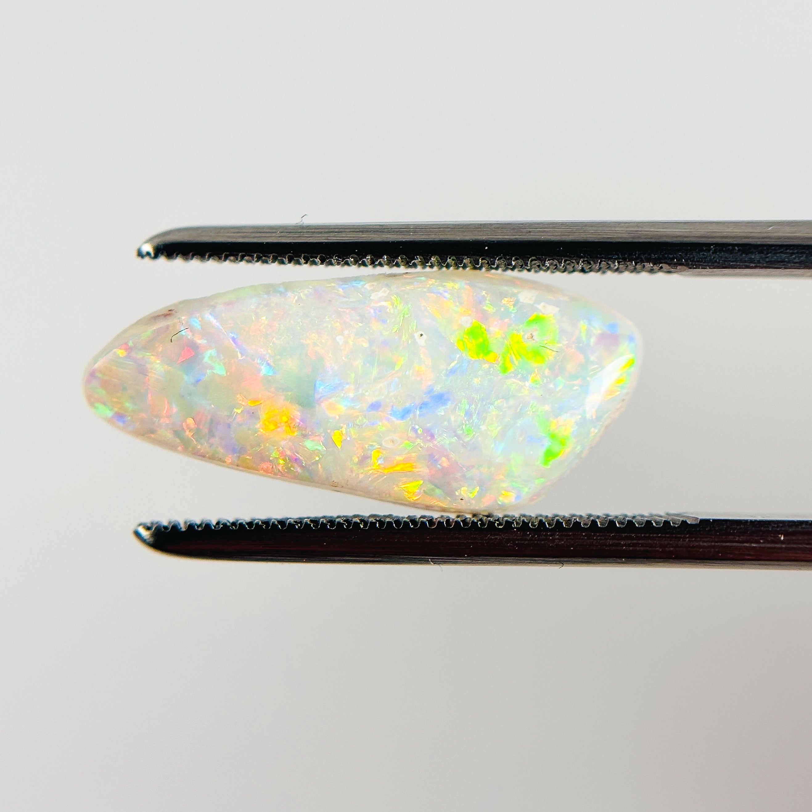 White Opal Red Multicolour 19x8x3 Cabochon Fossil Freeform 2.40 Carat