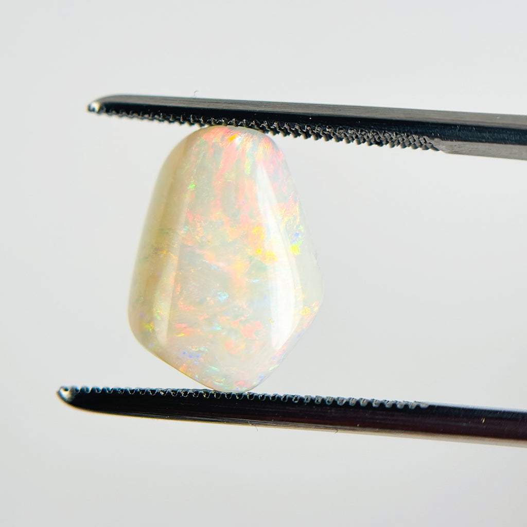 White Opal Multicolour 13x10x4 Cabochon Fossil Freeform 2.85 Carat