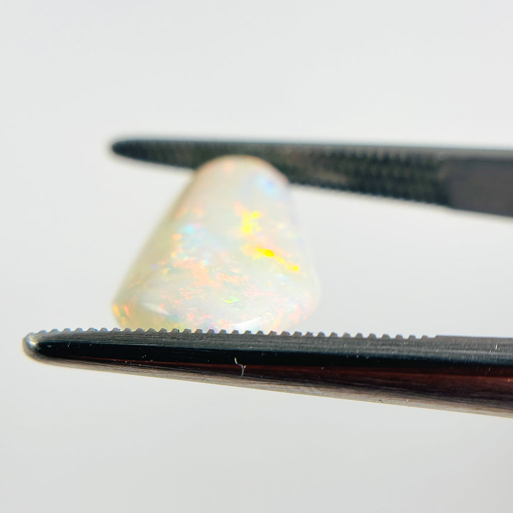 White Opal Multicolour 13x10x4 Cabochon Fossil Freeform 2.85 Carat