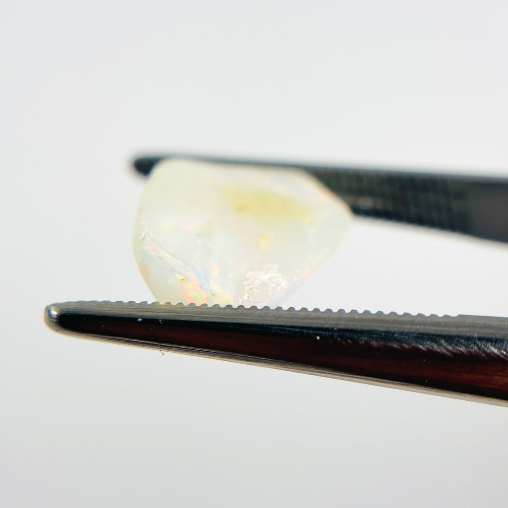 White Opal Multicolour 13x10x4 Cabochon Fossil Freeform 2.85 Carat