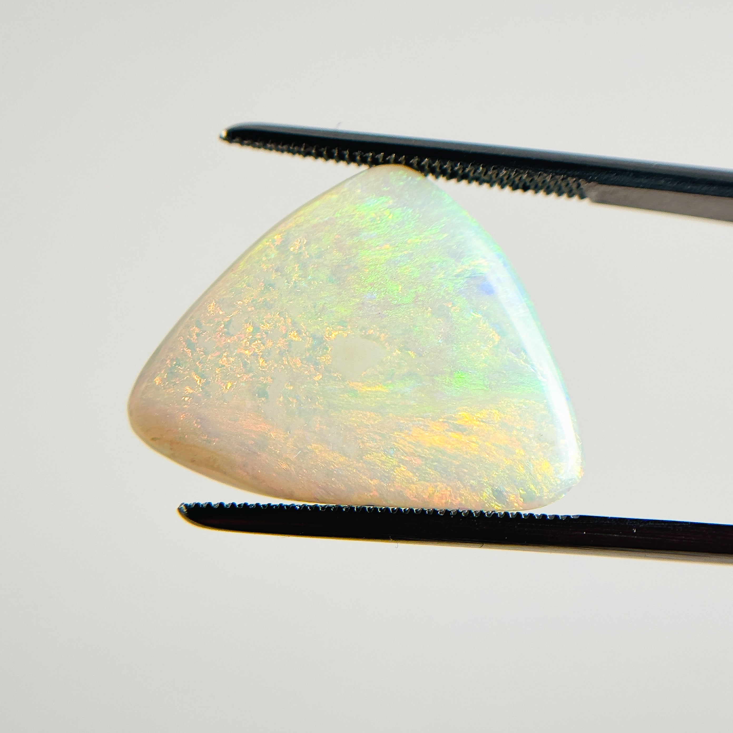 White Opal Red Multicolour 28x18x3 Cabochon Fossil Freeform 6.20 Carat