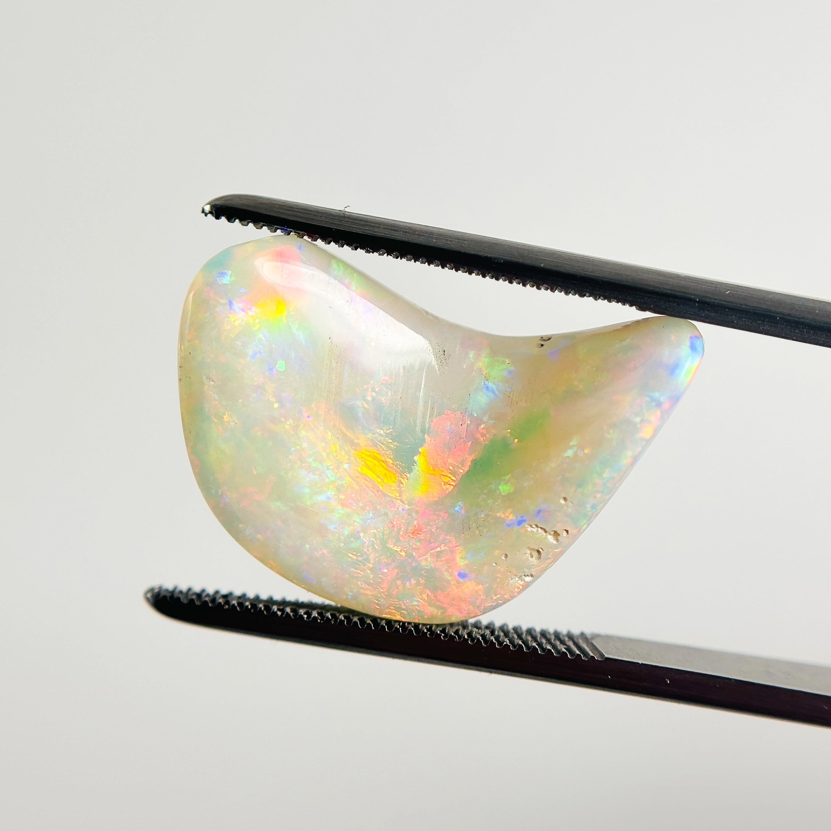 White Opal Red Multicolour 21x14x7 Cabochon Fossil Freeform 7.60 Carat