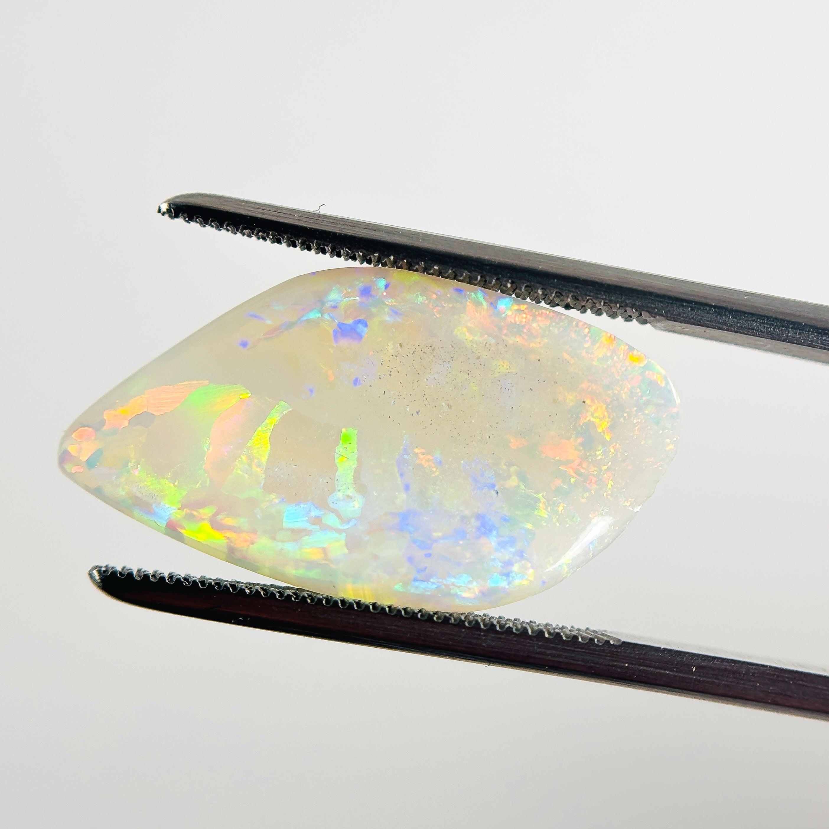 White Opal Red Multicolour 22x12x4 Cabochon Fossil Freeform 4.70 Carat