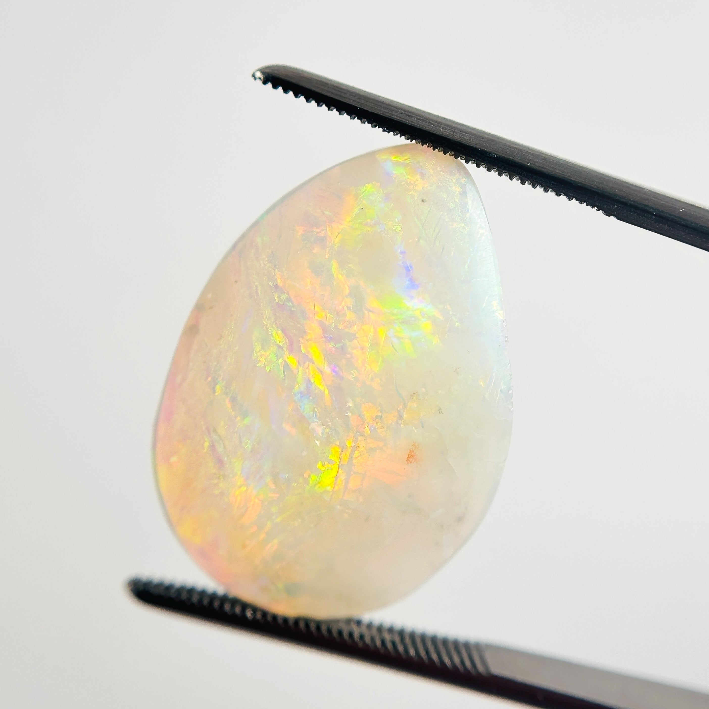 White Opal Red Multicolour 24x17x4 Cabochon Fossil Freeform 7.75 Carat