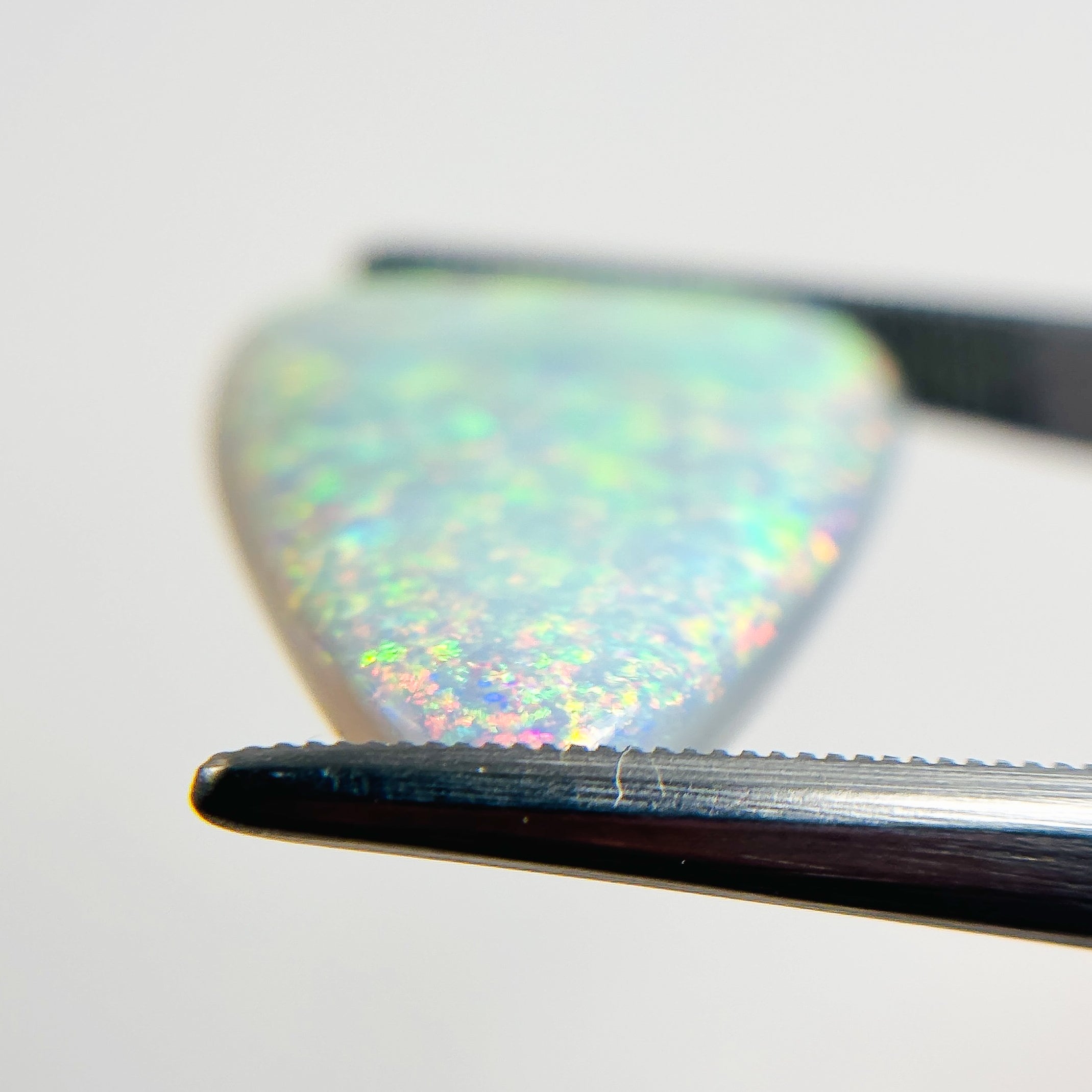 Semi Black Opal Multicolour 26x17x6.2 Cabochon Pear 16.45 Carat