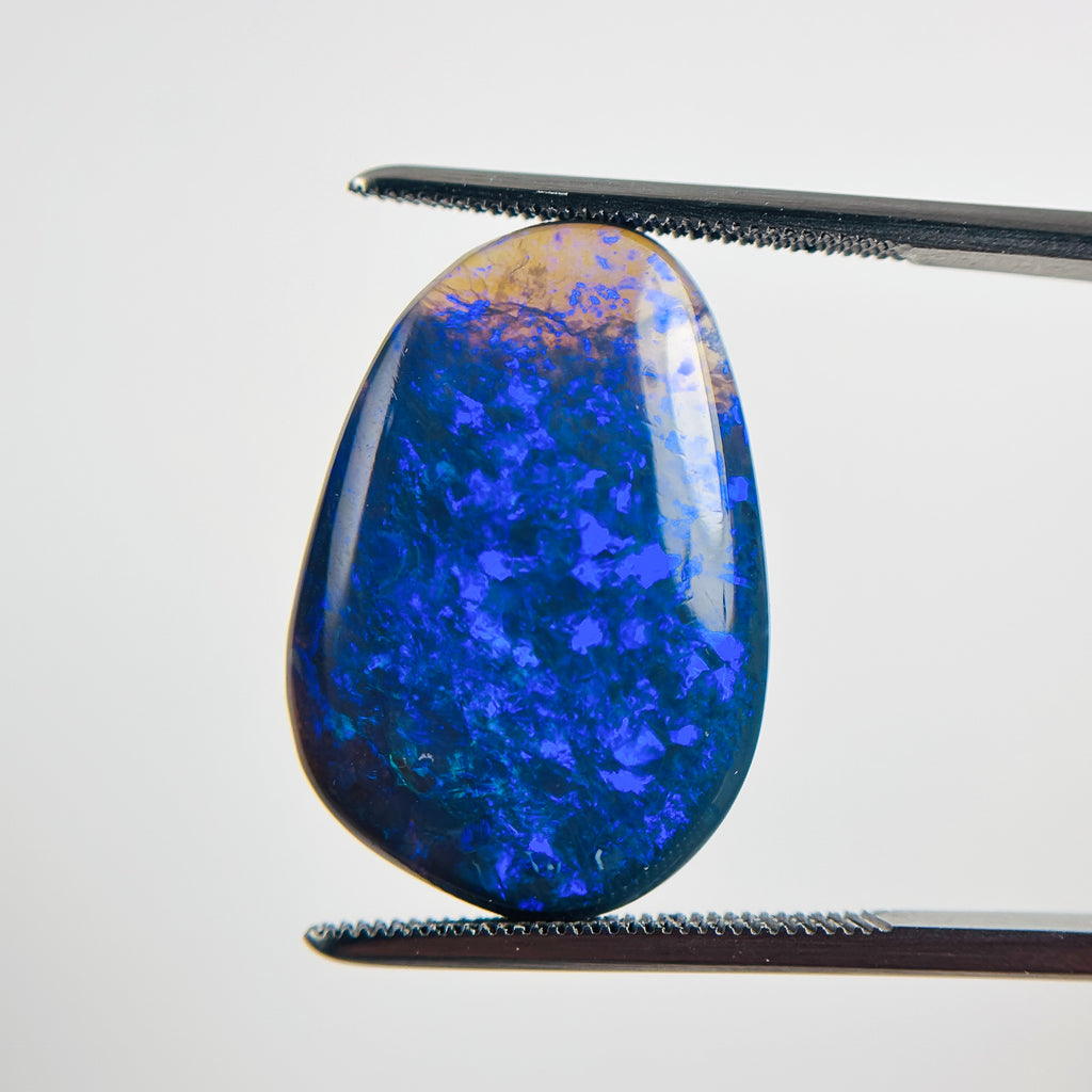 Black Opal Blue 22x15.6x4.3 Cabochon Freeform 9.20 Carat