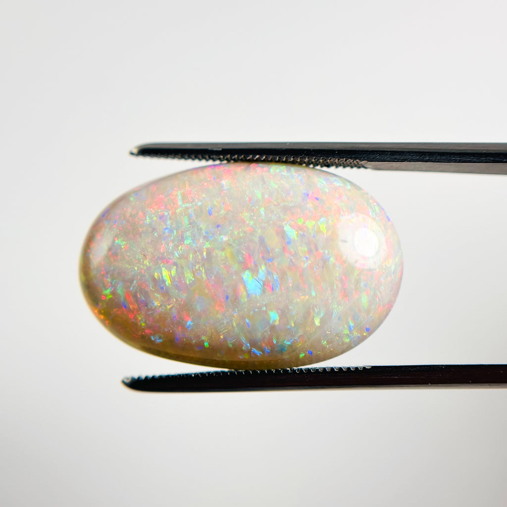 White Opal Red Multicolour 24x15x6 Cabochon Oval 14.95 Carat